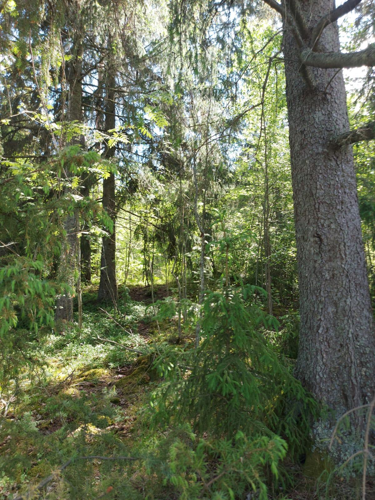 Lohjansaarentie 1314, Lohjansaari, Lohja