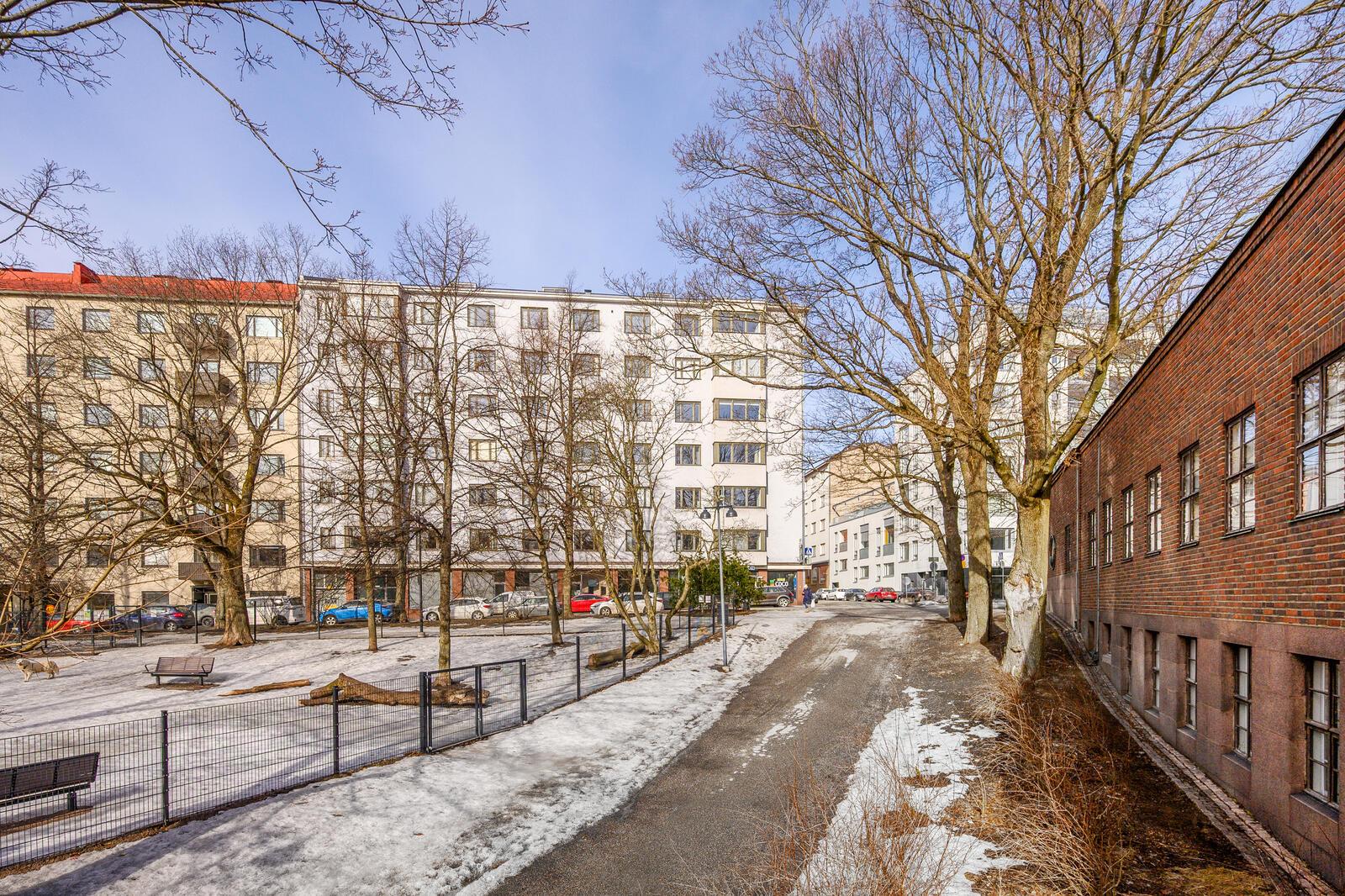 lähellä koirapuisto