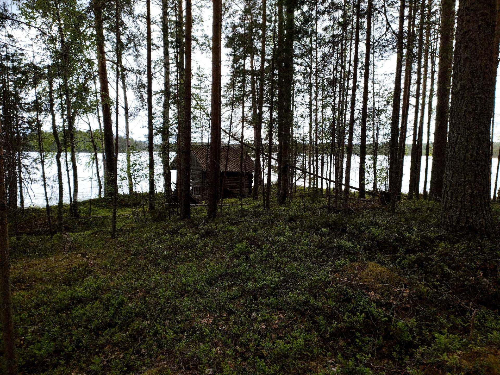 Rauvanjärvi/Kaavi T5, Maarianvaara, Kaavi