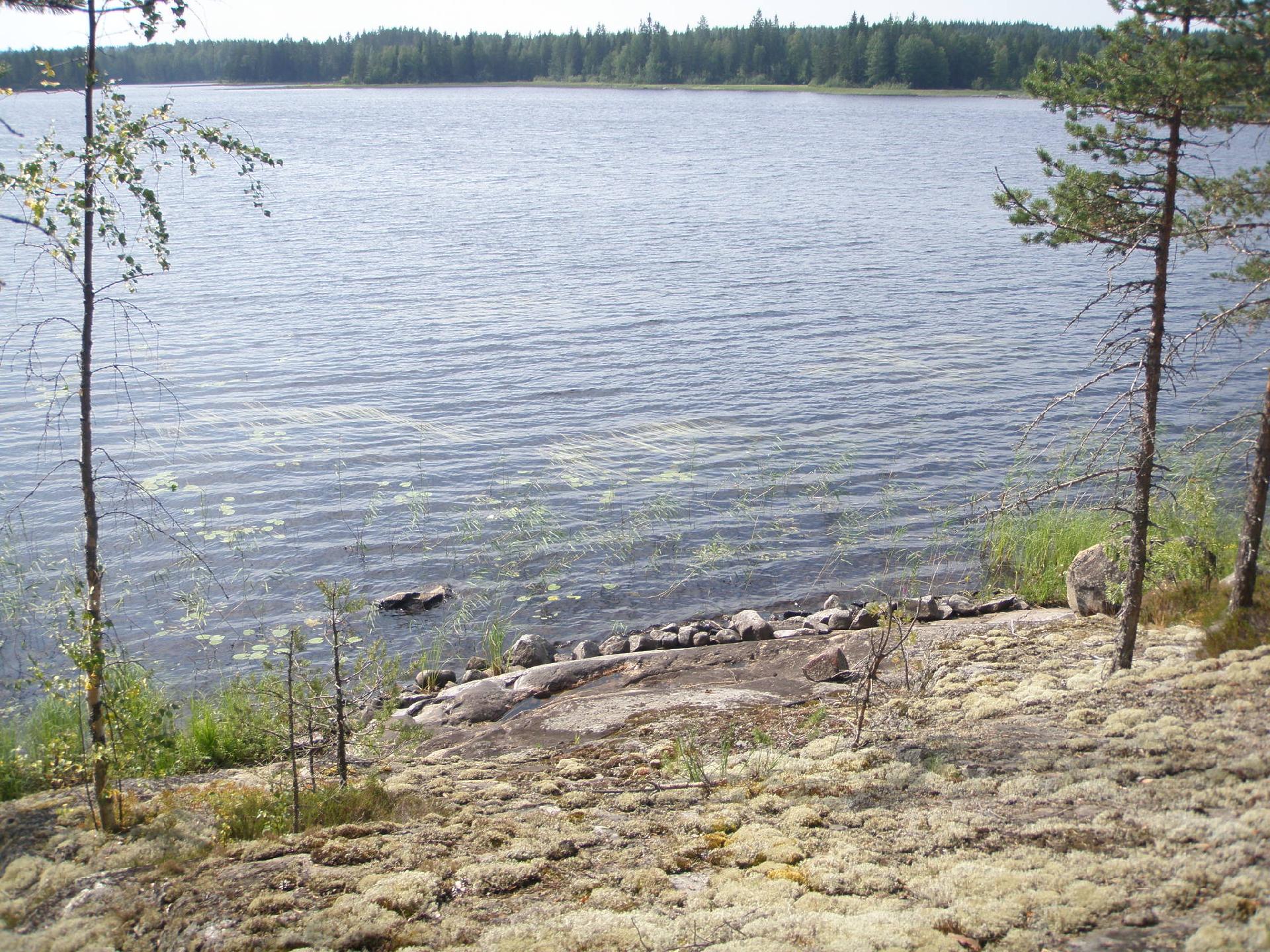 Saarijärvi/Kaavi K5T2, Kaavi, Kaavi