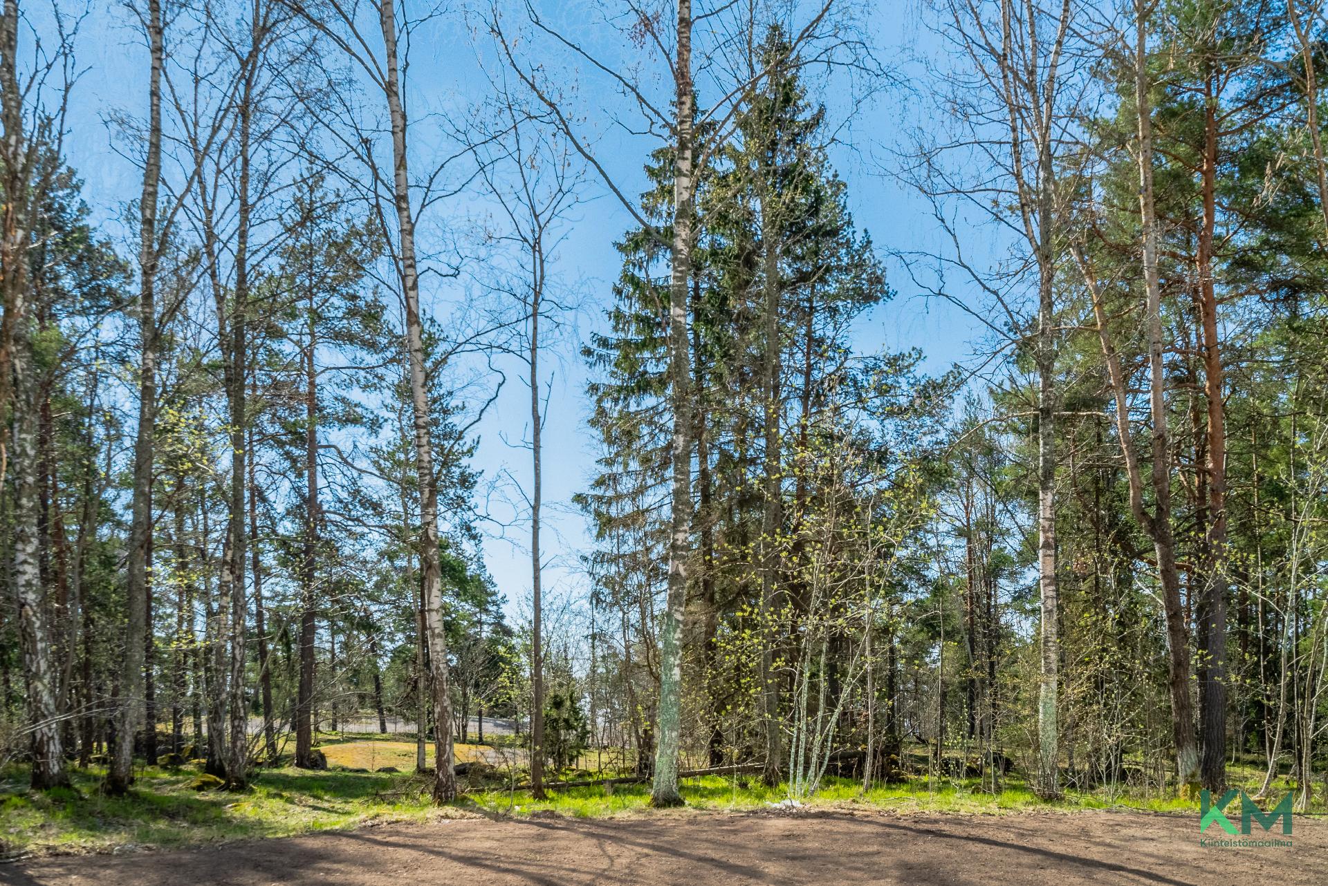 Näkymää ympäristöön