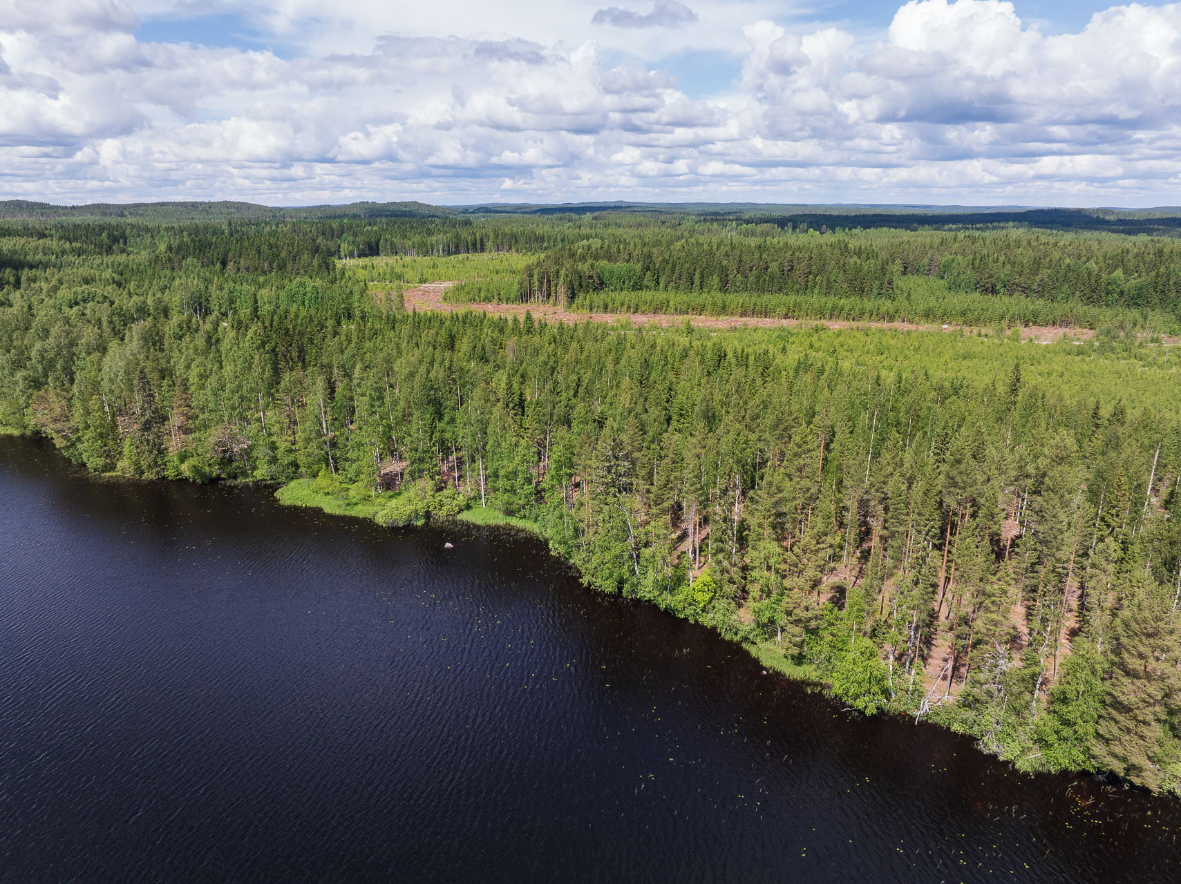 Koivulahdentie 74, Keihärinkoski, Viitasaari