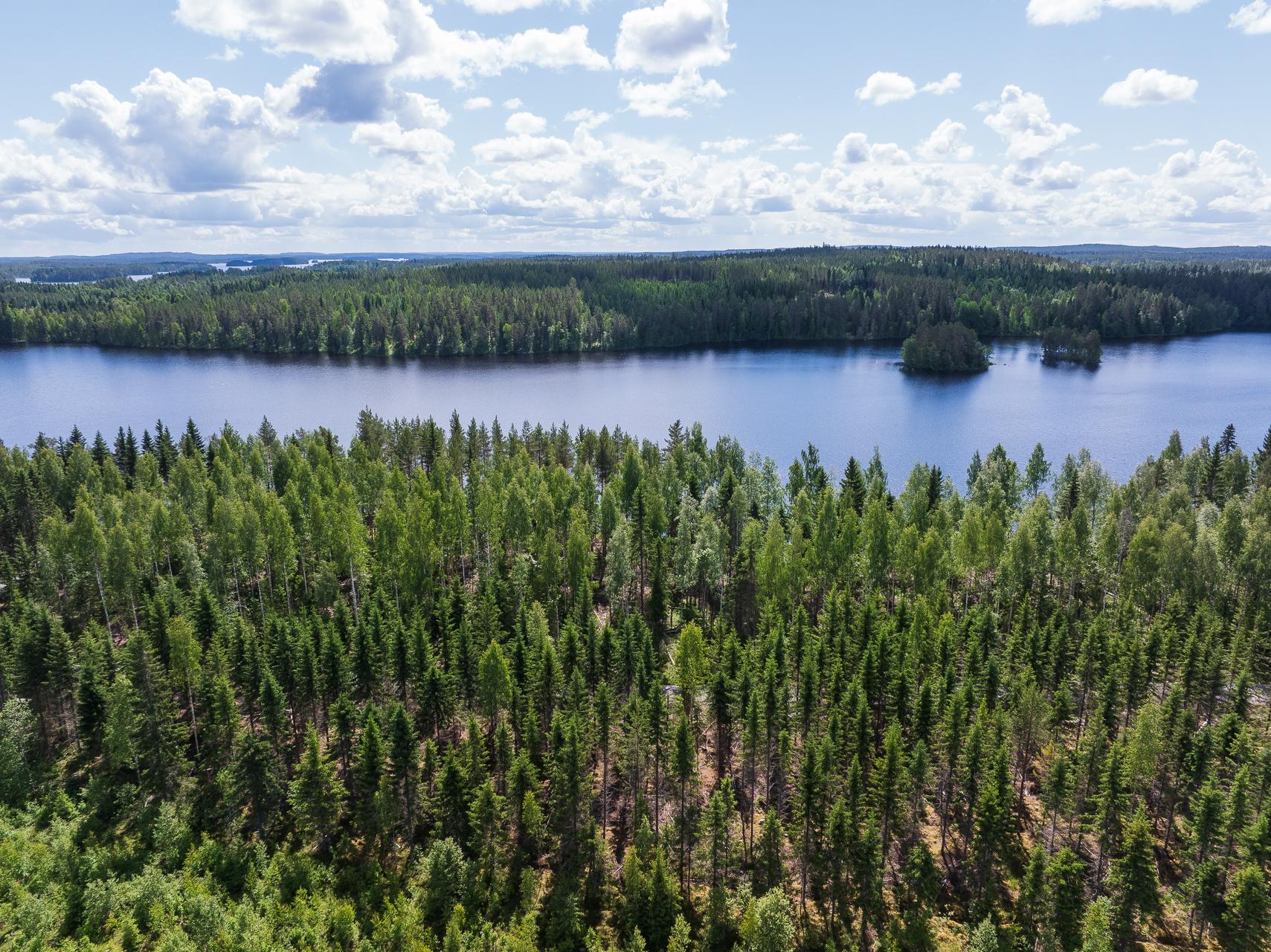 Koivulahdentie 74, Keihärinkoski, Viitasaari