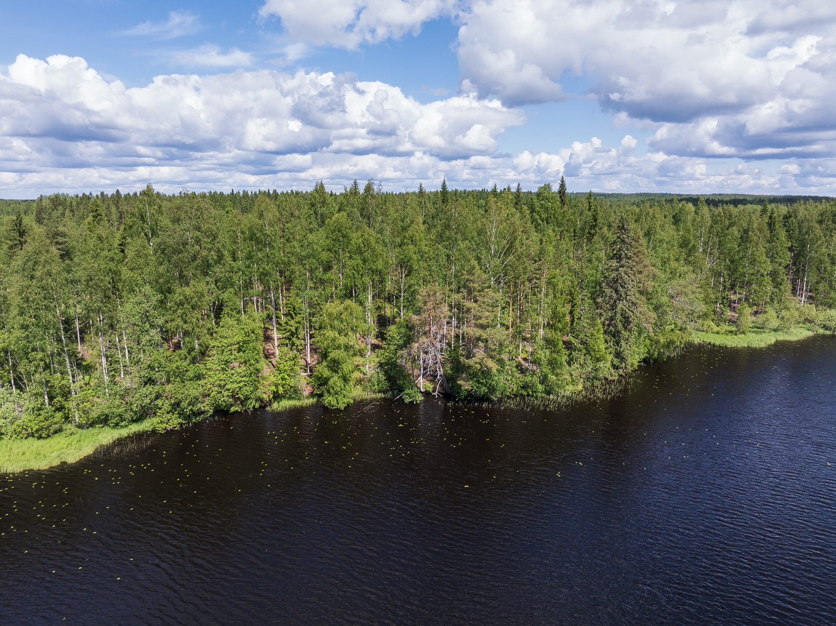 Koivulahdentie 74, Keihärinkoski, Viitasaari