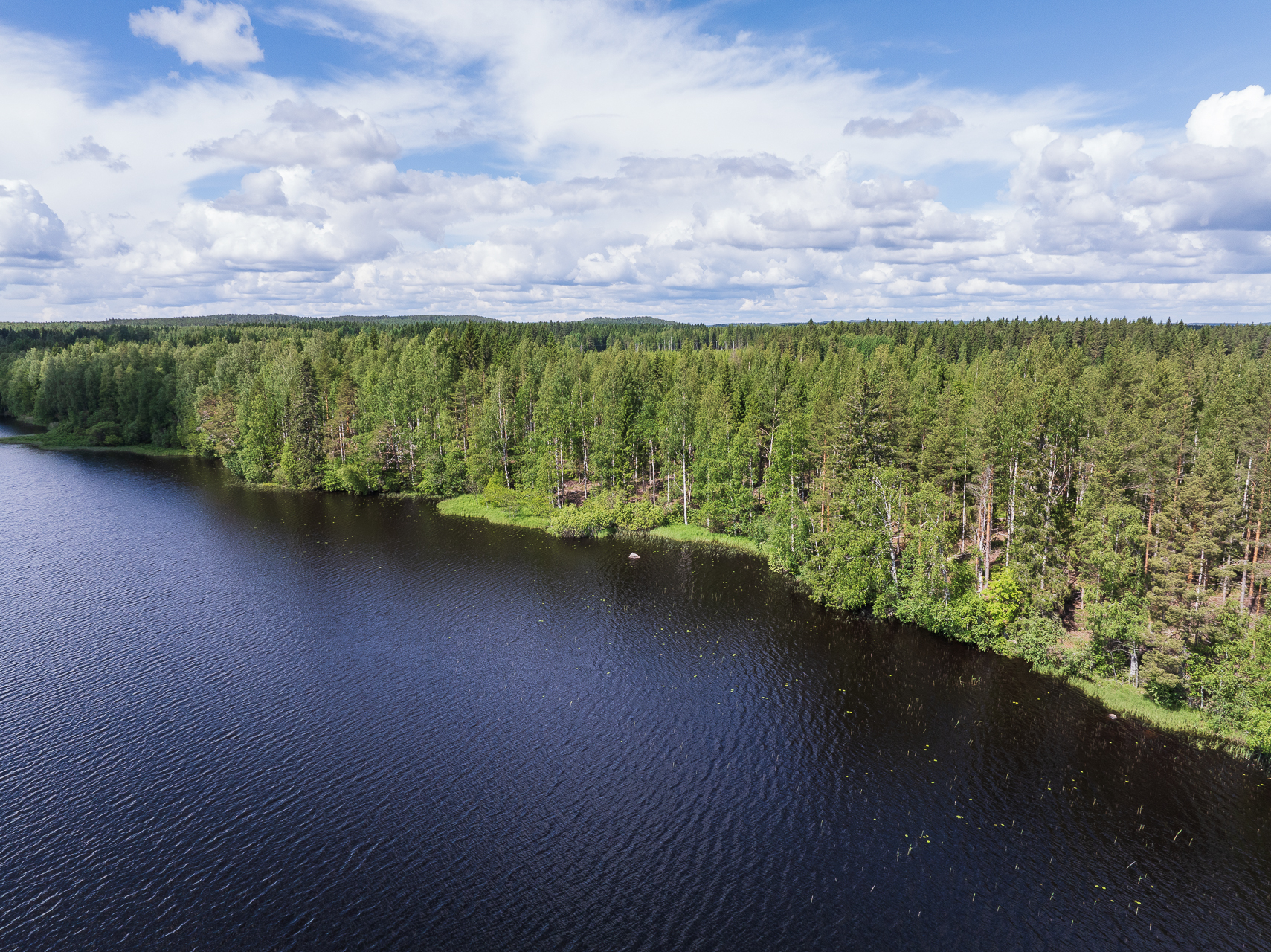 Koivulahdentie 74, Keihärinkoski, Viitasaari