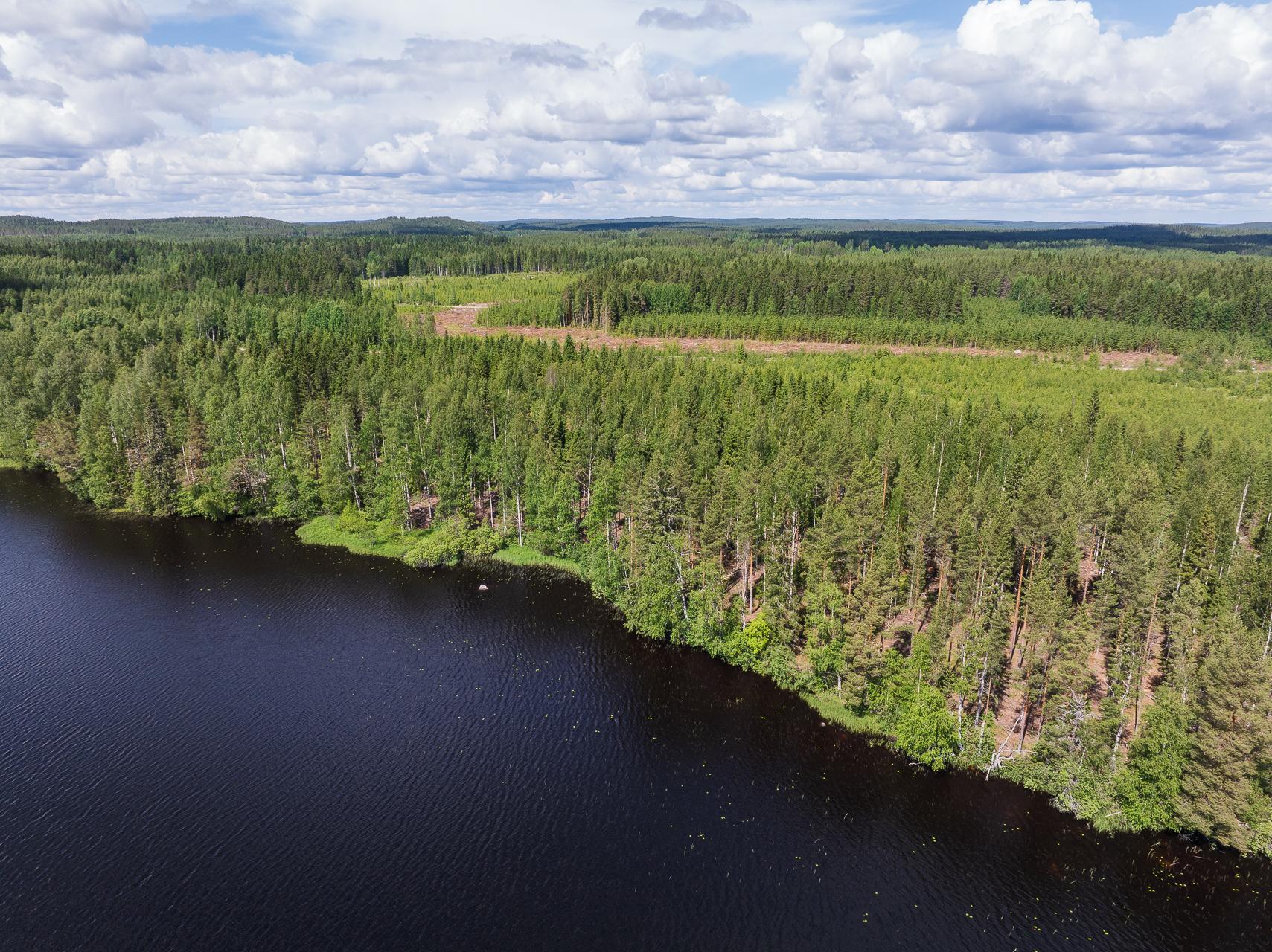 Koivulahdentie 74, Keihärinkoski, Viitasaari