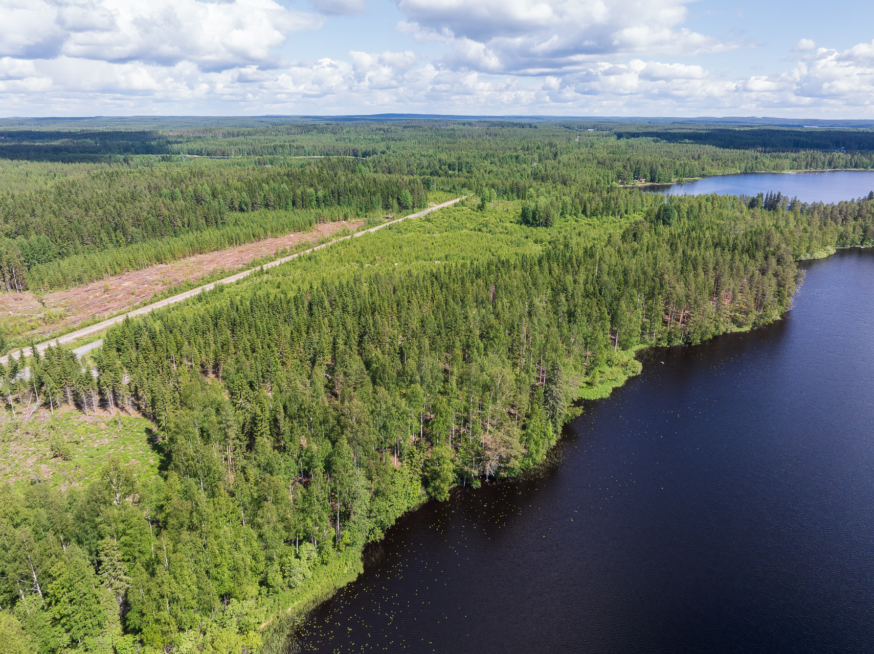 Koivulahdentie 86, Keihärinkoski, Viitasaari