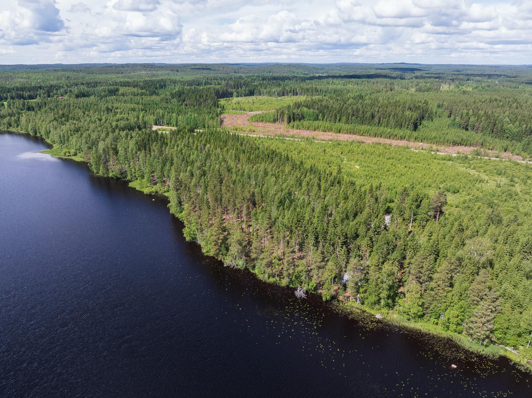 Koivulahdentie 86, Keihärinkoski, Viitasaari
