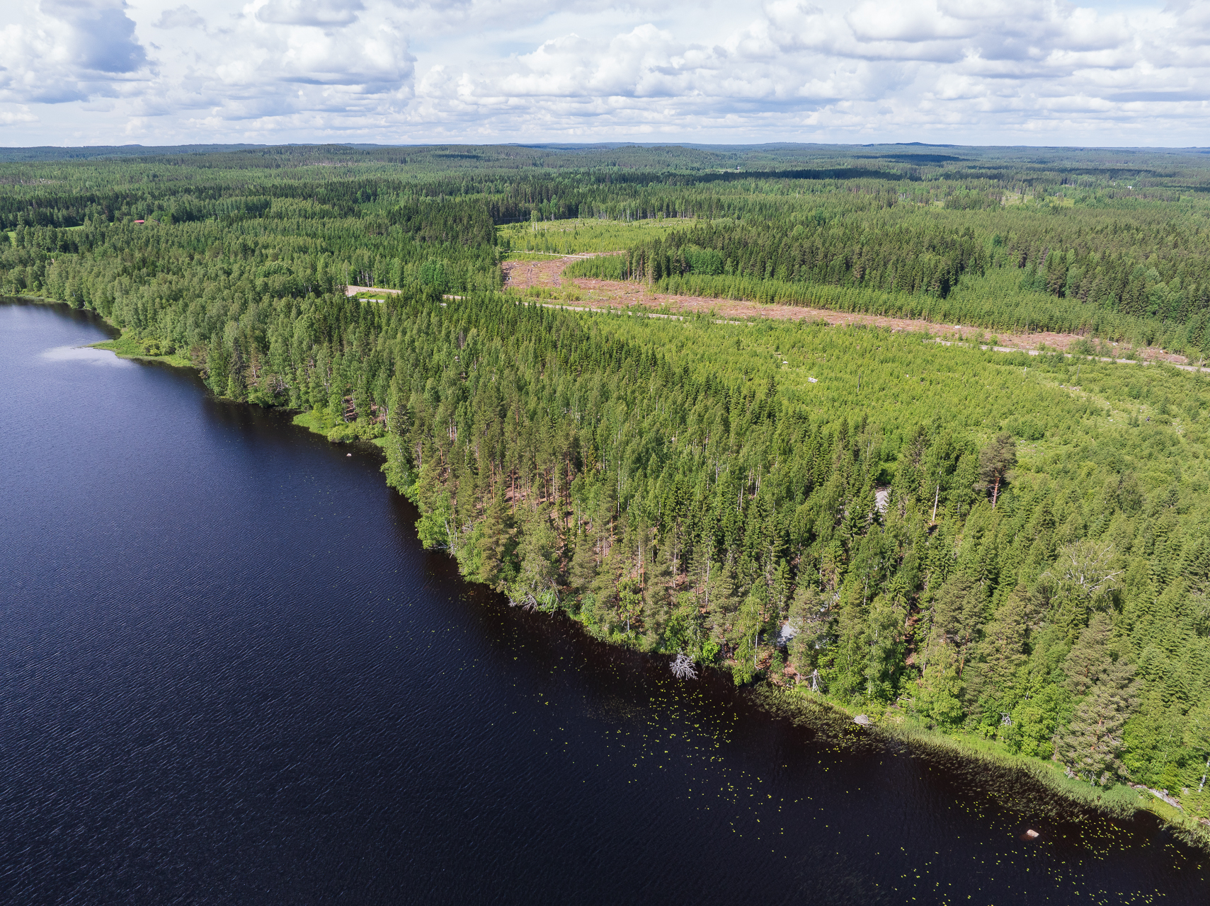 Koivulahdentie 92, Keihärinkoski, Viitasaari