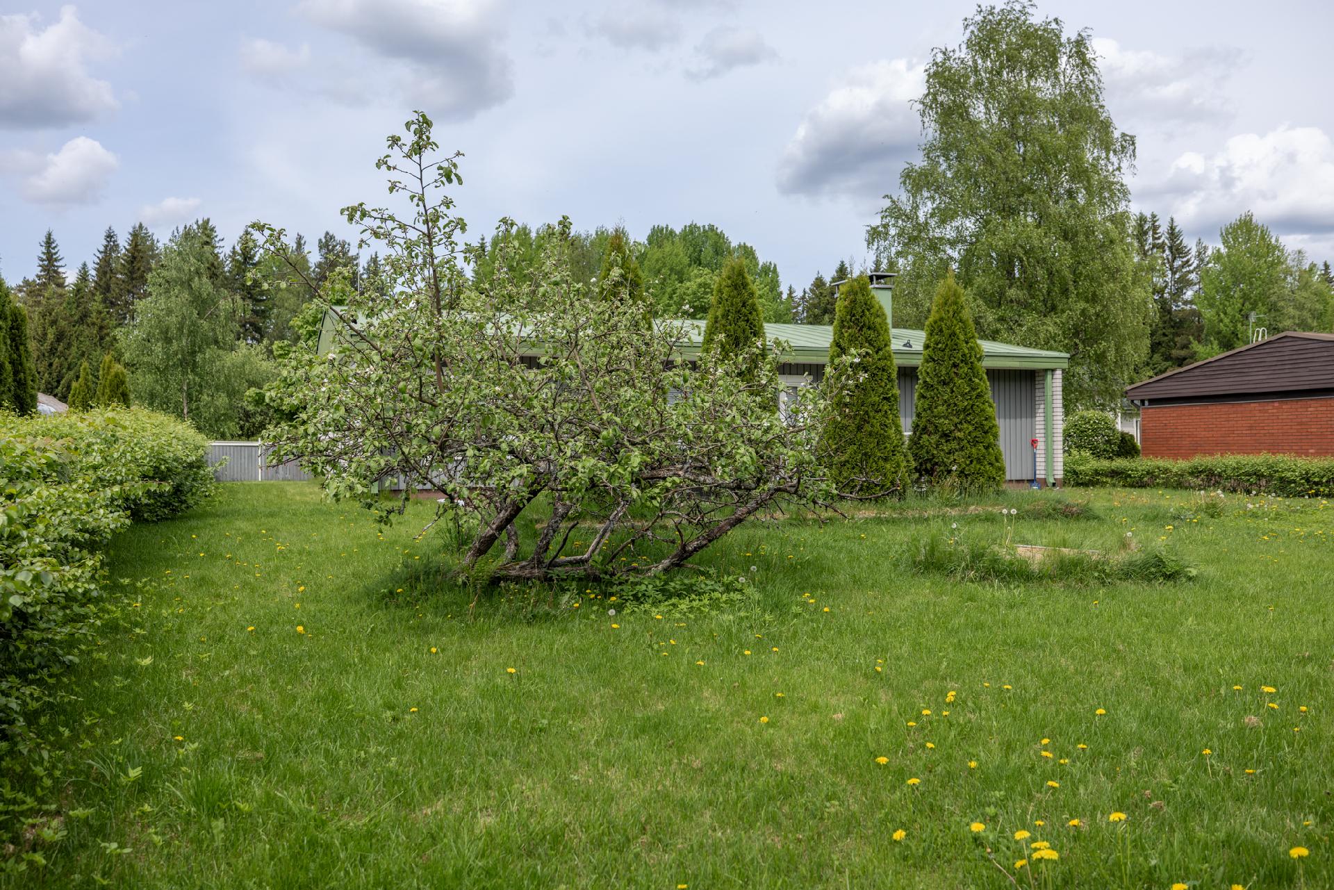 Mäntykatu 13, Peitsari, Mikkeli