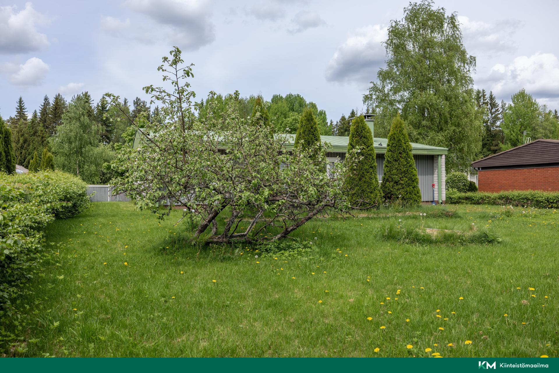 Mäntykatu 13, Peitsari, Mikkeli