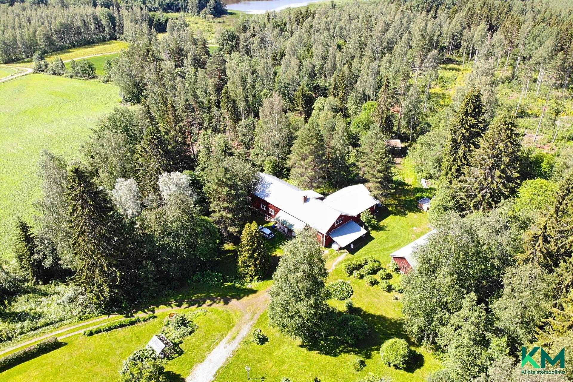 Pajukannantie 351, Pajukanta, Orivesi