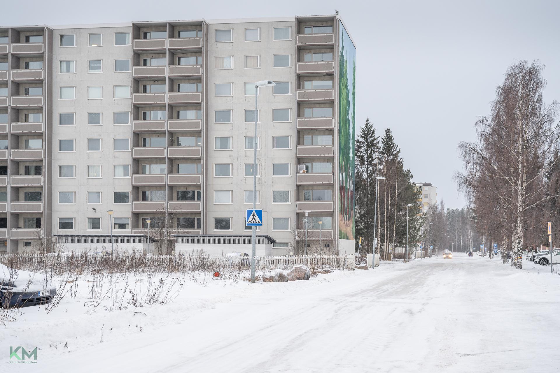 Ruiskukkatie 3, Rajakylä, Oulu