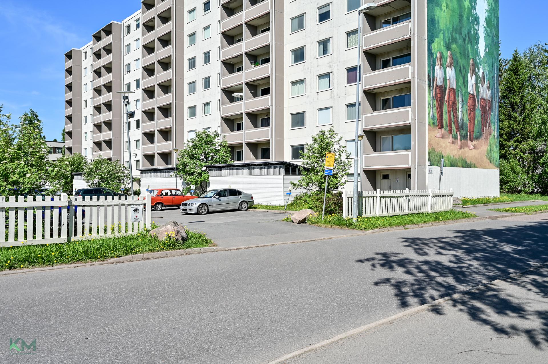 Ruiskukkatie 3, Rajakylä, Oulu