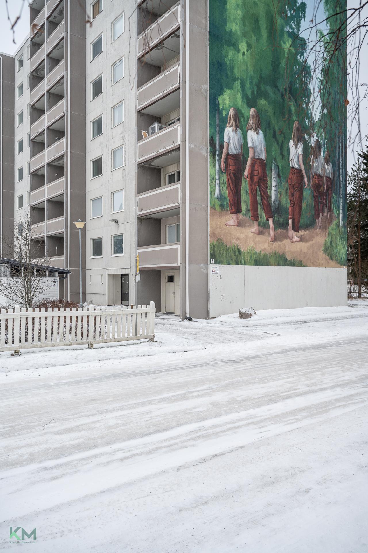 Ruiskukkatie 3, Rajakylä, Oulu