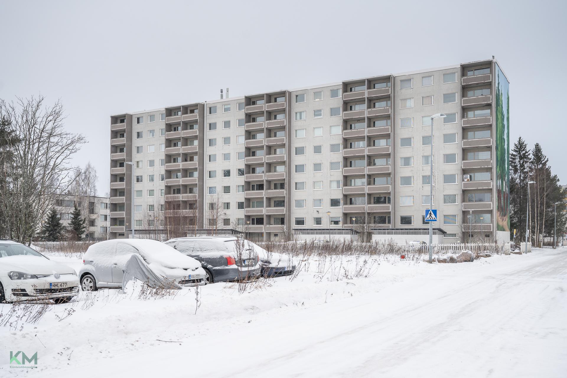 Ruiskukkatie 3, Rajakylä, Oulu