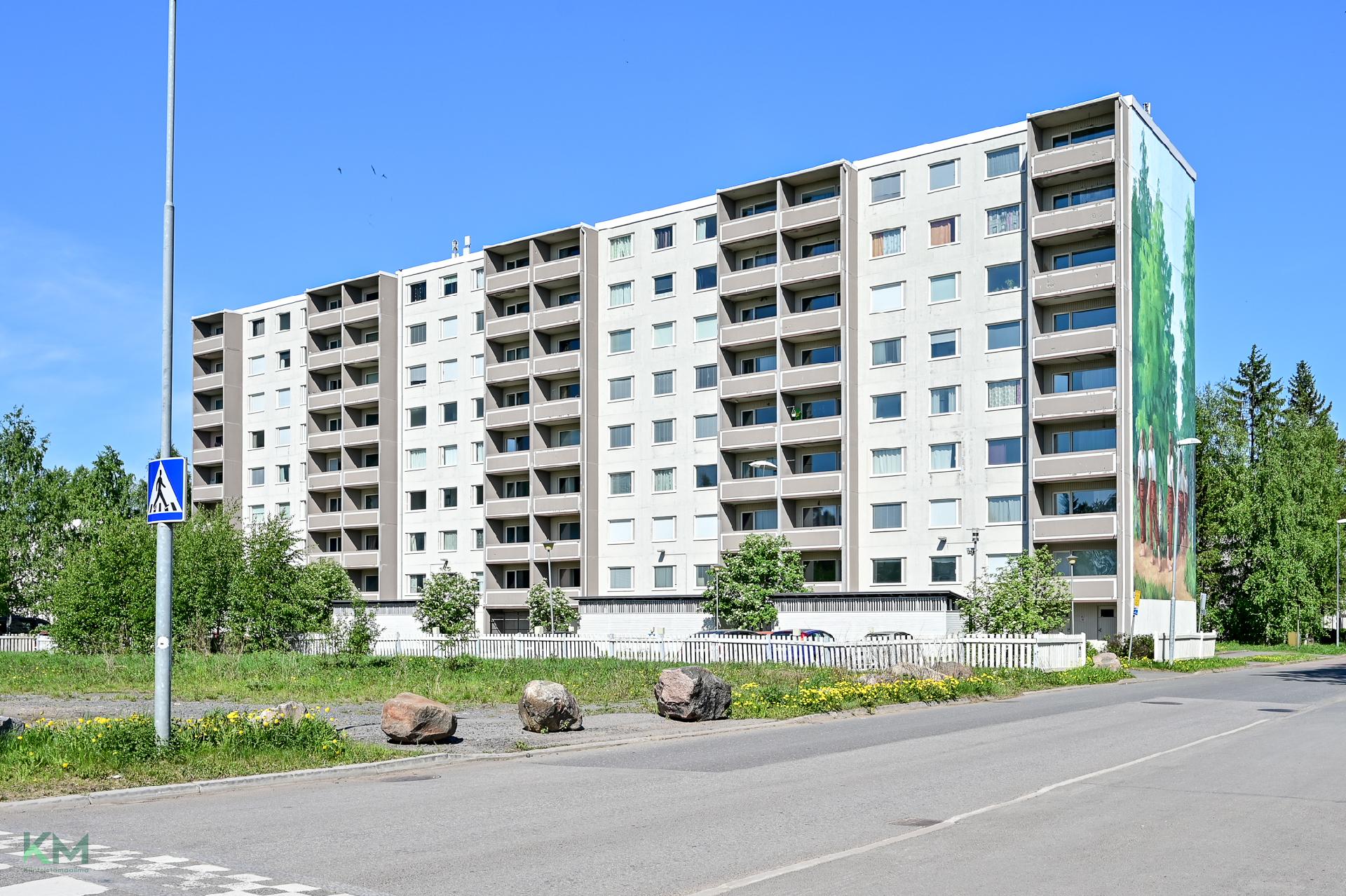 Ruiskukkatie 3, Rajakylä, Oulu