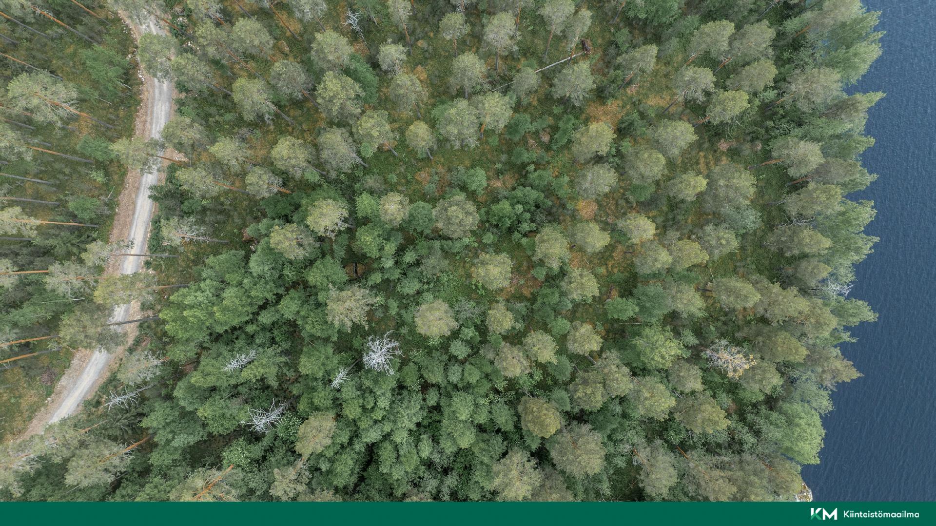 Pihlajasalontie 351, Koikkala, Juva