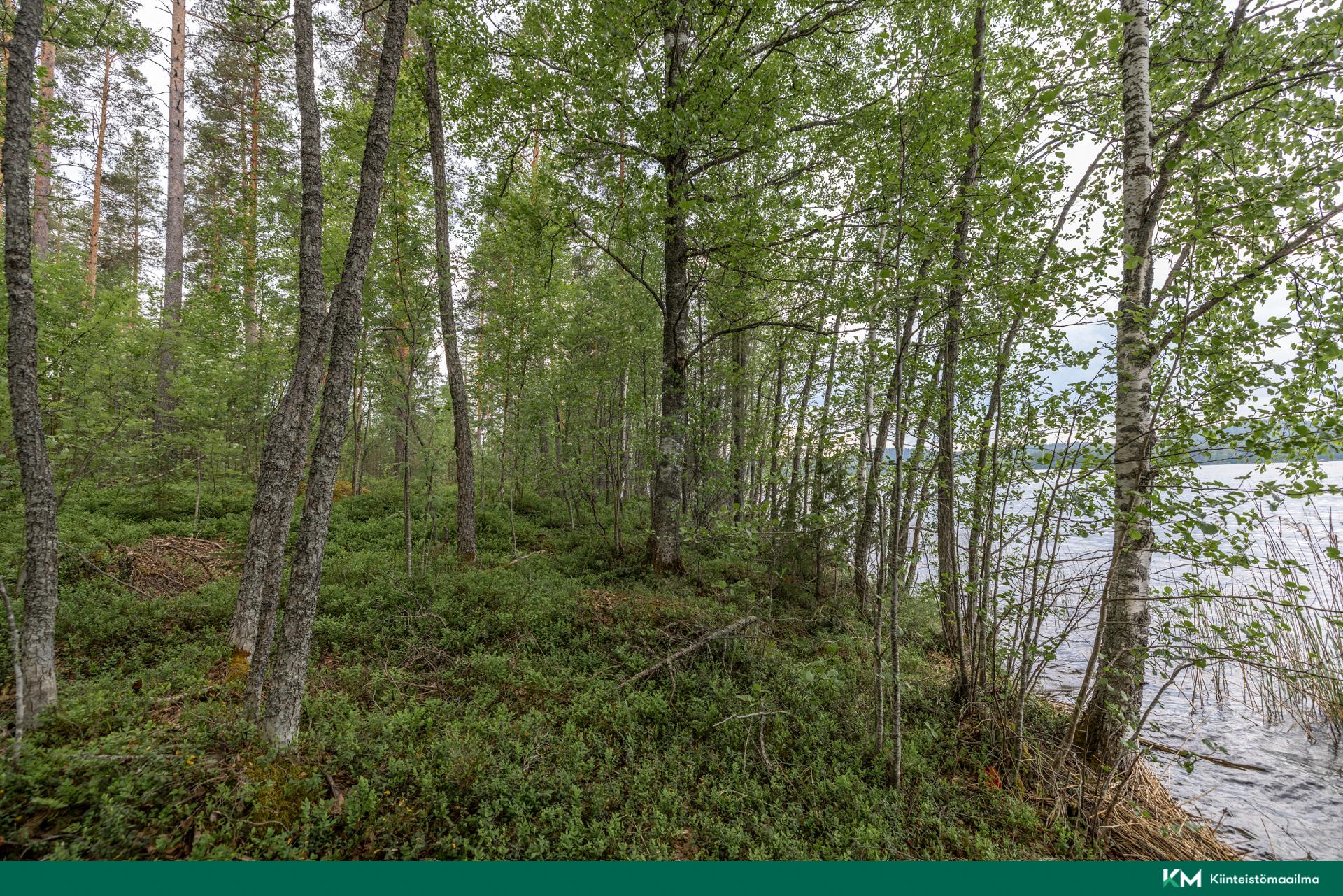 kuva 4 rantaviivaa länteen