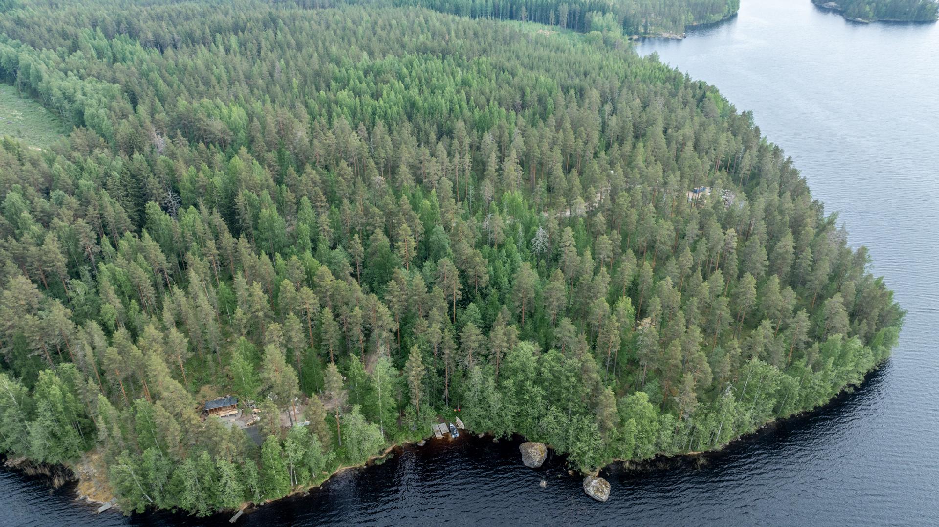Pihlajasalontie 351, Koikkala, Juva