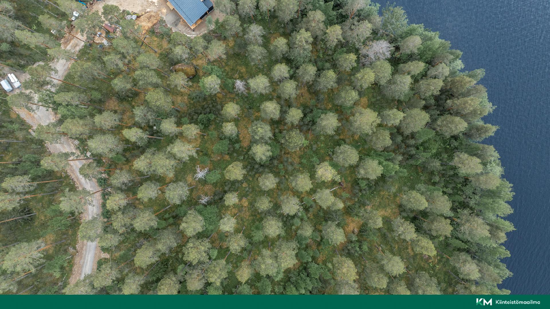 Pihlajasalontie 351, Koikkala, Juva