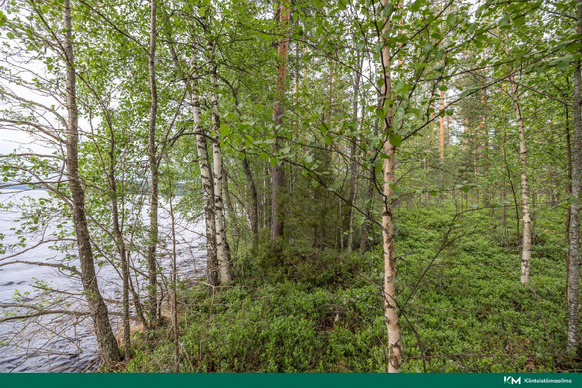 kuva 10 rantaviivaa itään