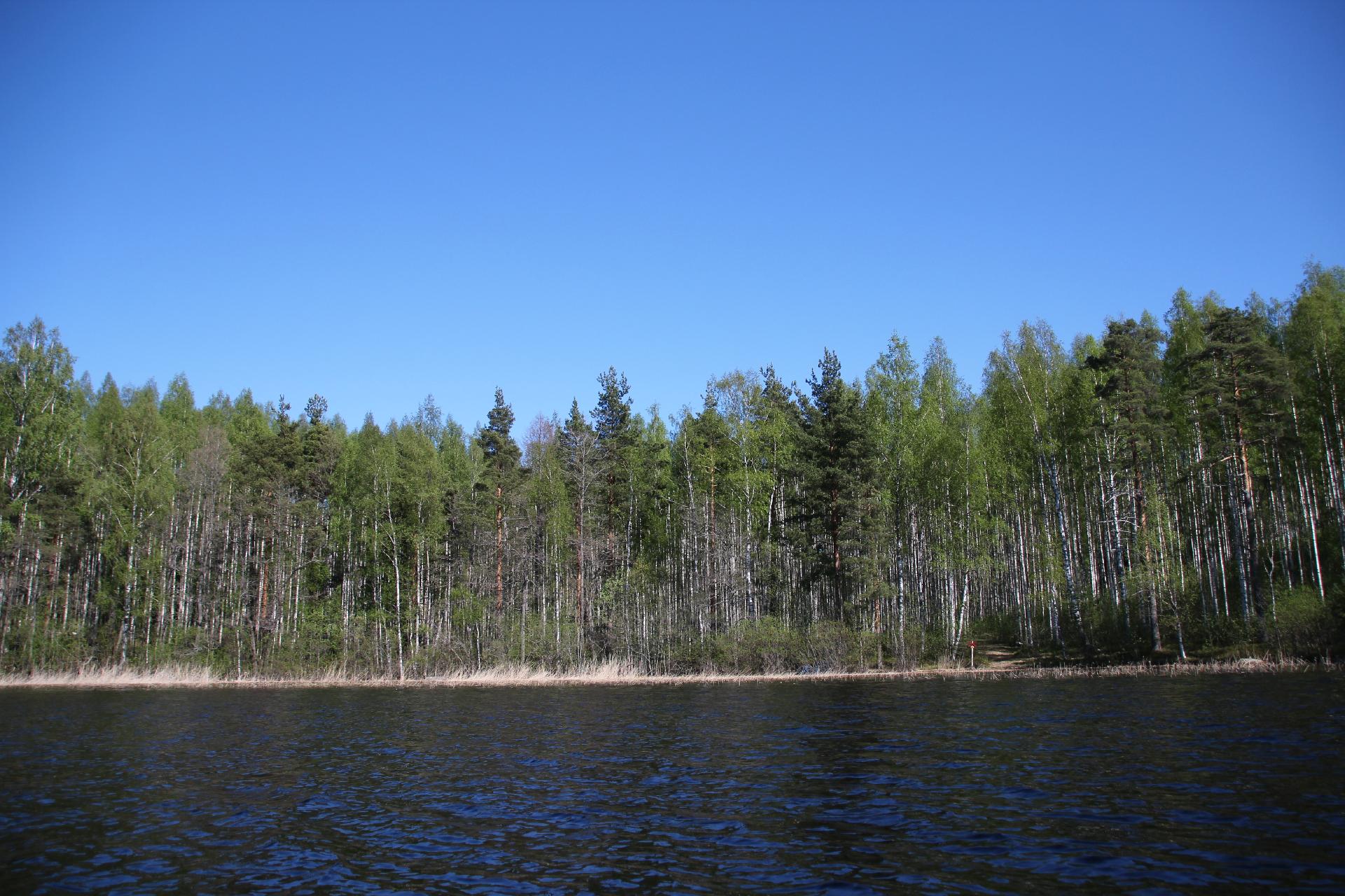 Papinkiventie 0, Joutseno, Lappeenranta