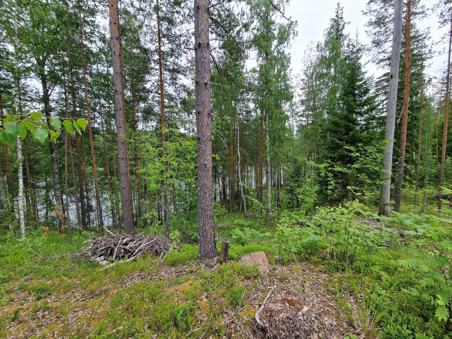 Paimensaarentie 0, Savitaipale, Savitaipale