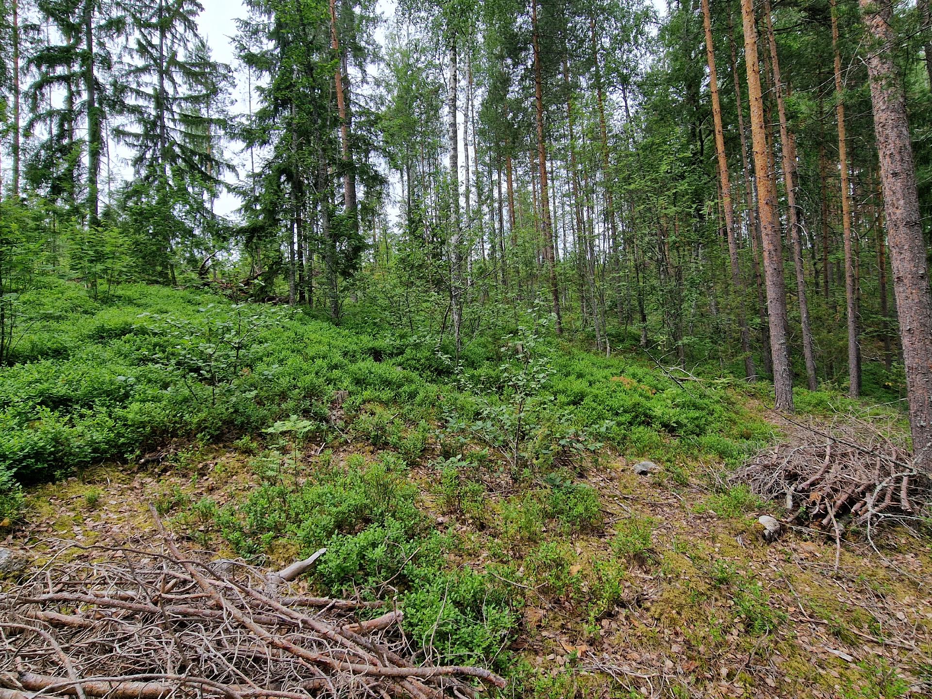 Paimensaarentie 0, Savitaipale, Savitaipale