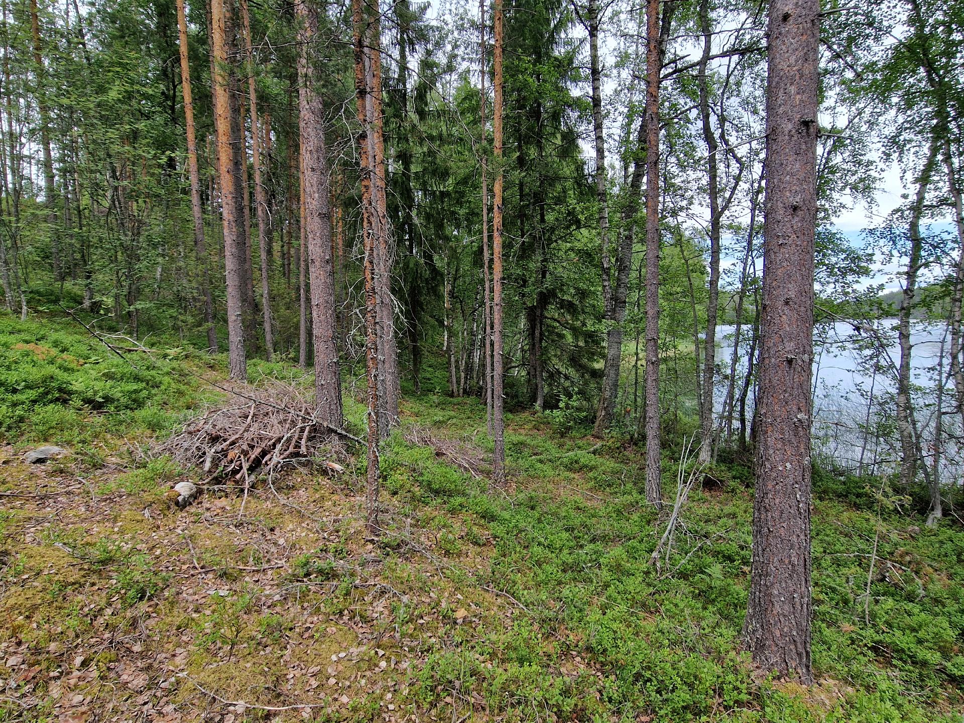 Paimensaarentie 0, Savitaipale, Savitaipale