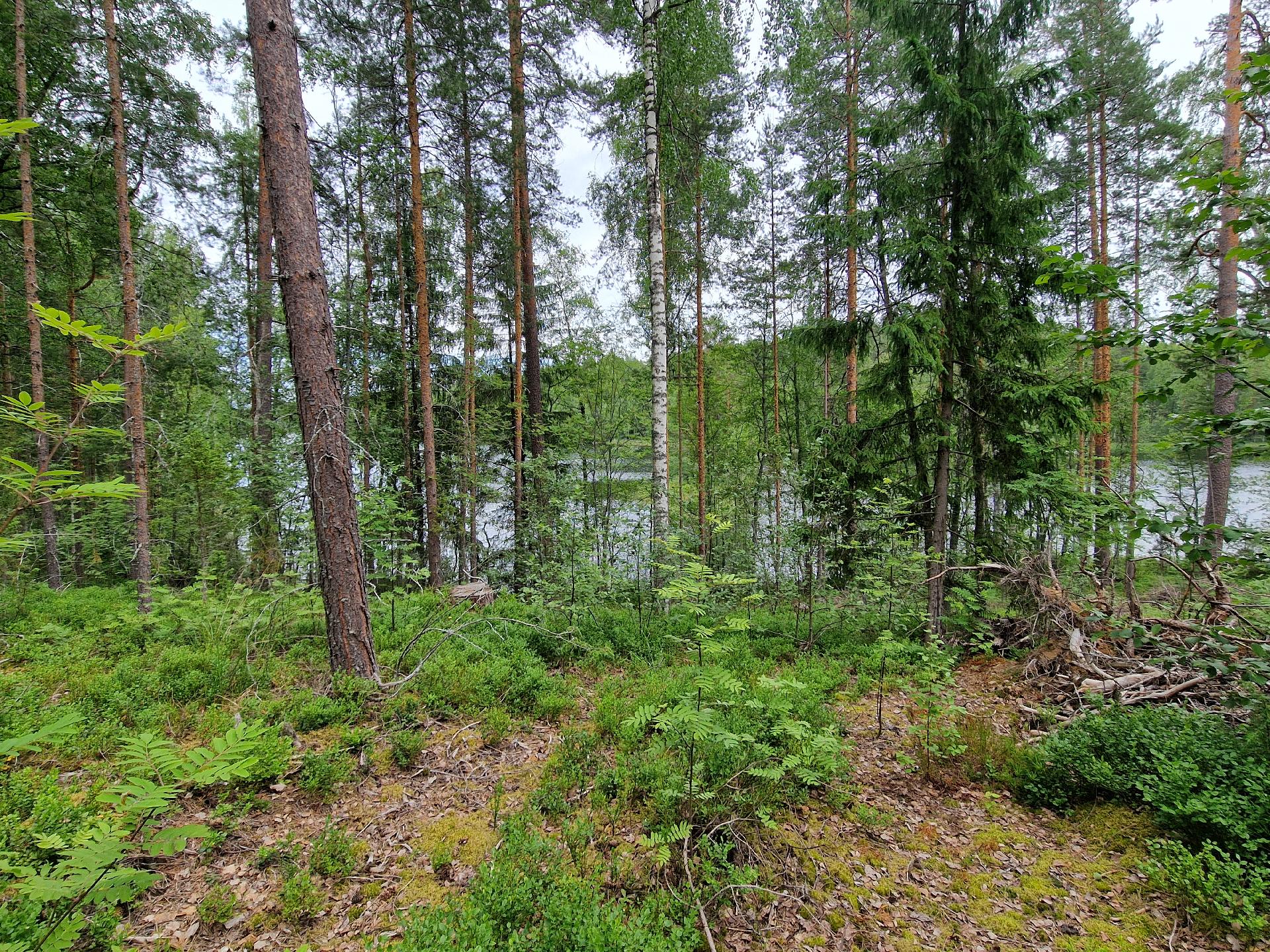 Paimensaarentie 0, Savitaipale, Savitaipale