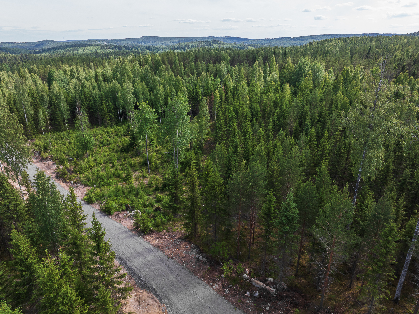 Kivelänlammentie 10 A, Vesanka, Jyväskylä