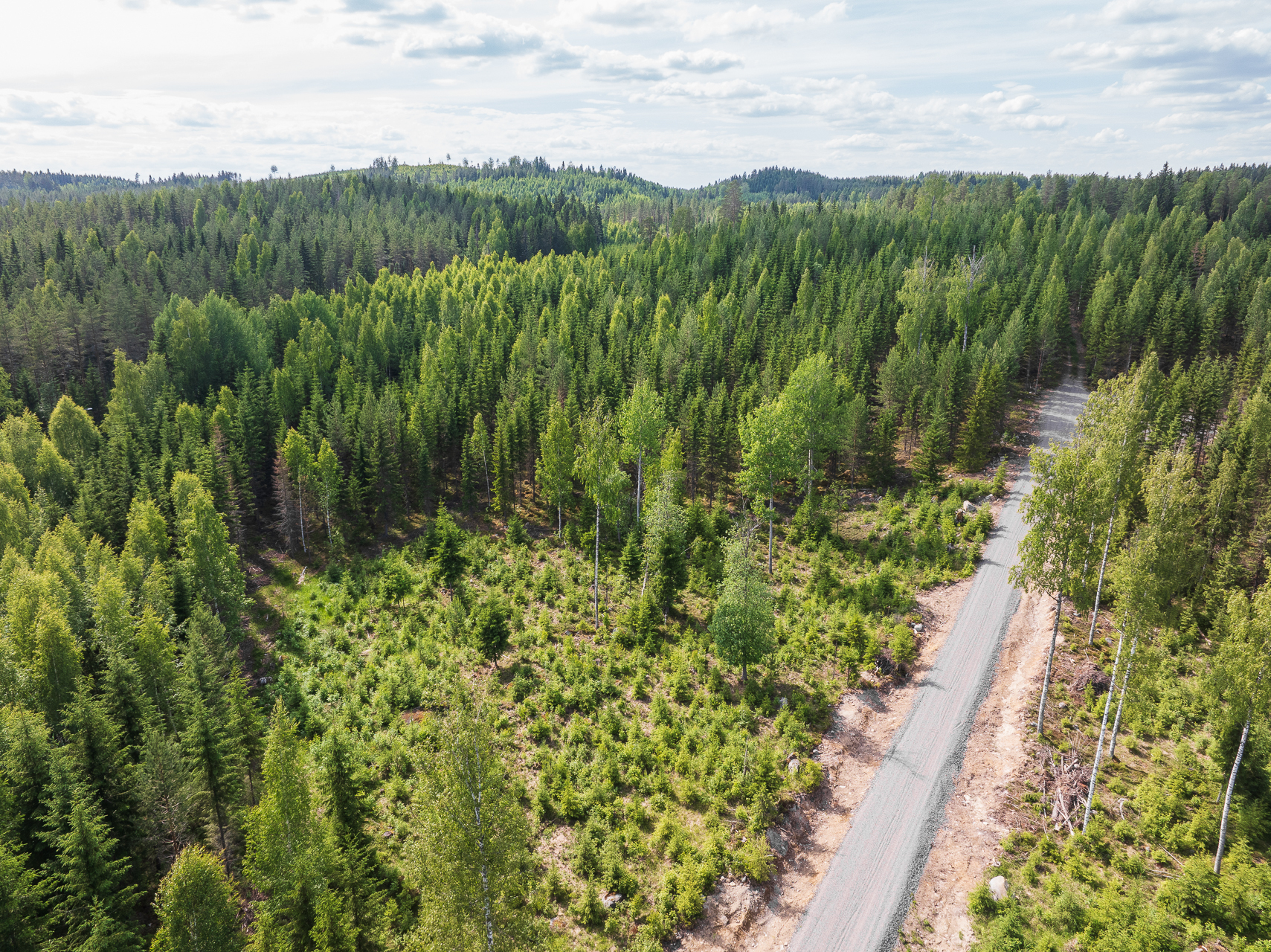 Kivelänlammentie 10 A, Vesanka, Jyväskylä