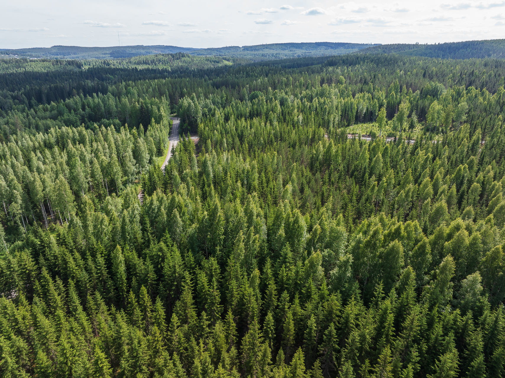 Kivelänlammentie 10 A, Vesanka, Jyväskylä