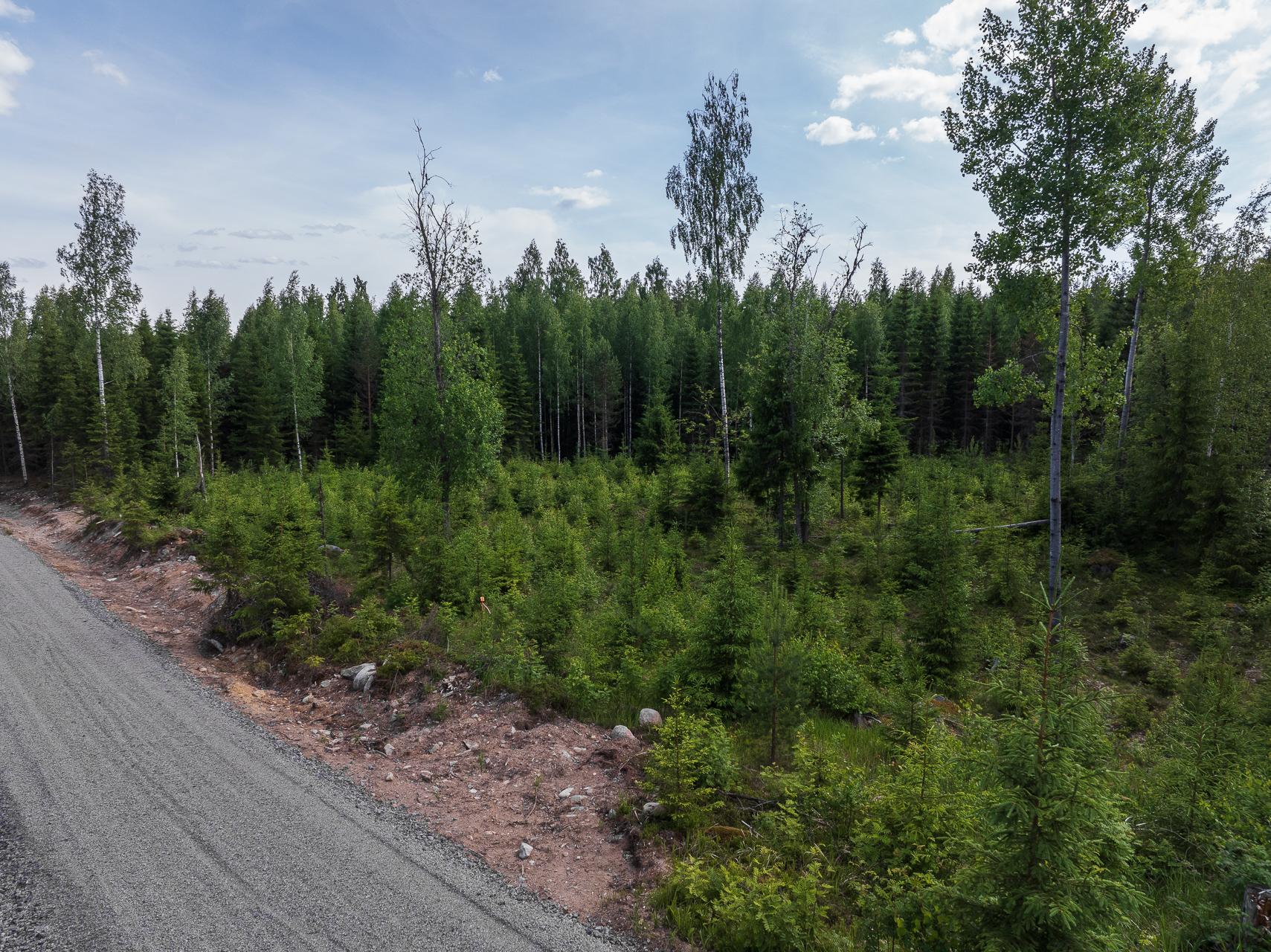 Kivelänlammentie 10 B, Vesanka, Jyväskylä