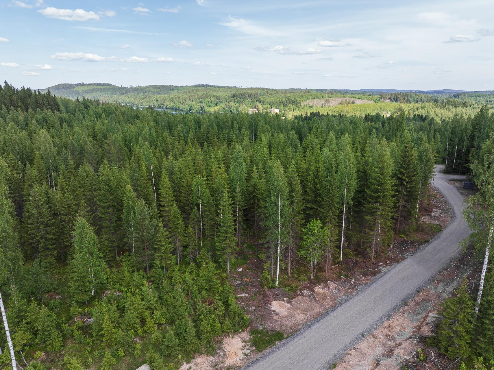 Kivelänlammentie 10 B, Vesanka, Jyväskylä