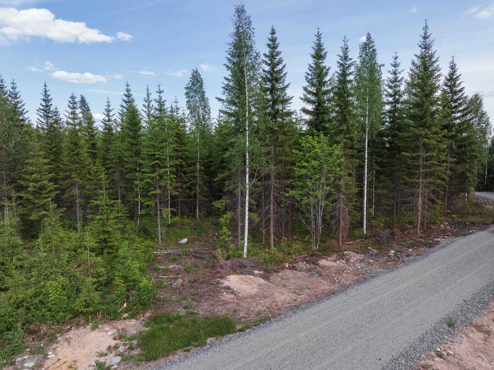 Kivelänlammentie 10 B, Vesanka, Jyväskylä