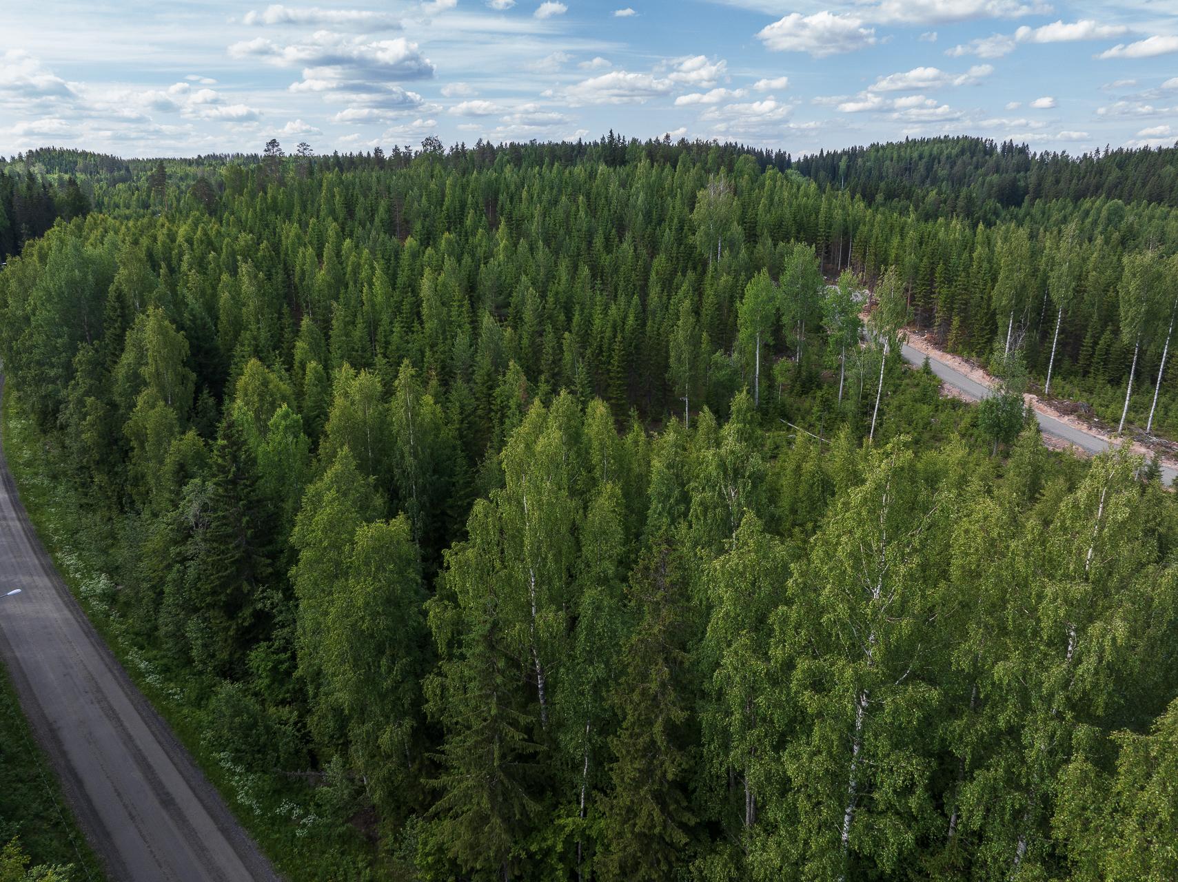 Kivelänlammentie 10 B, Vesanka, Jyväskylä