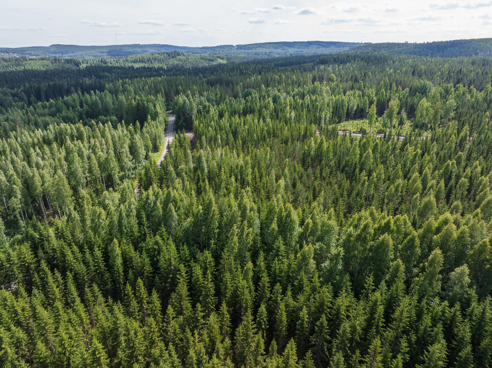 Kivelänlammentie 10 B, Vesanka, Jyväskylä