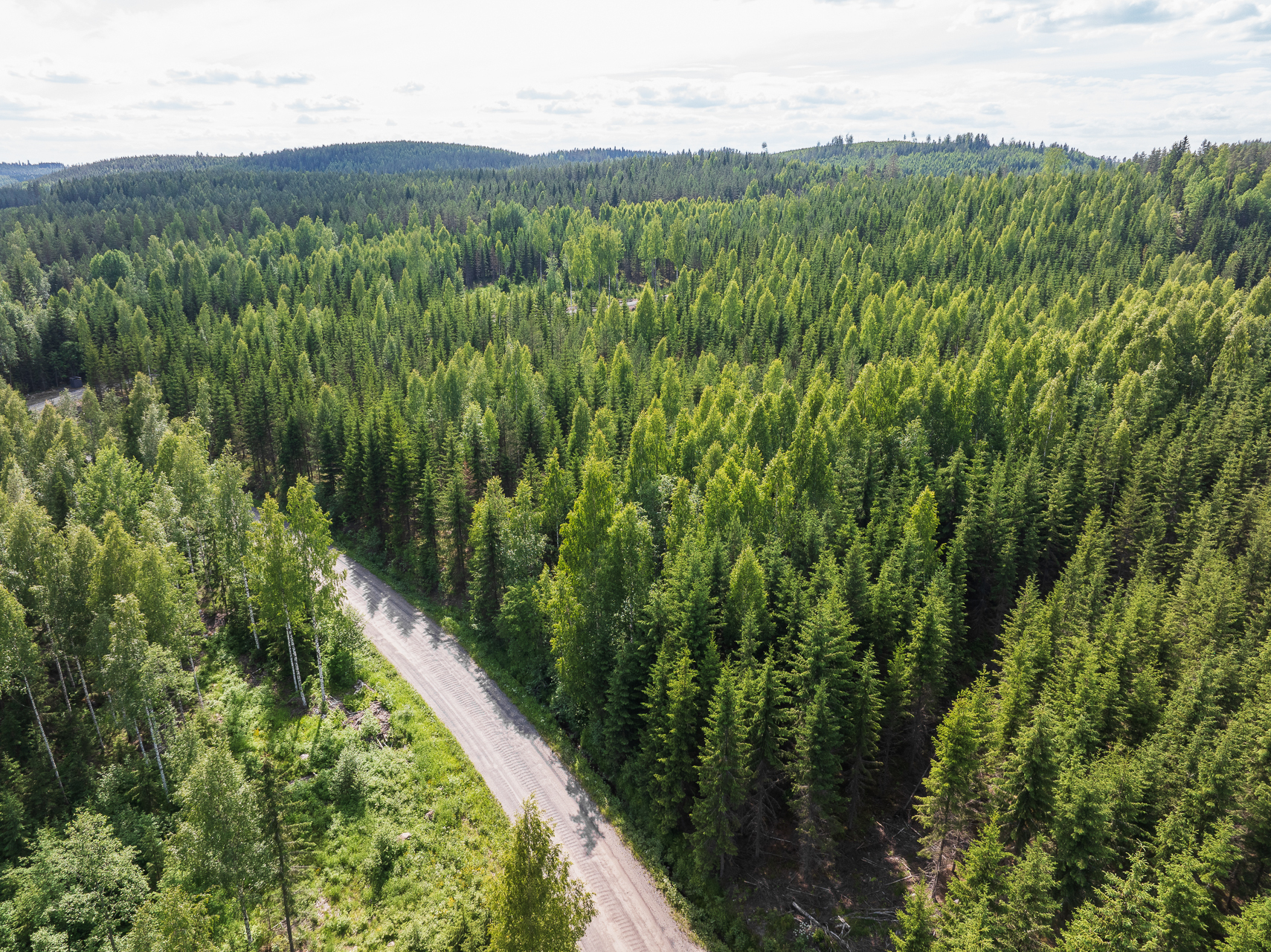 Kivelänlammentie 10 C, Vesanka, Jyväskylä