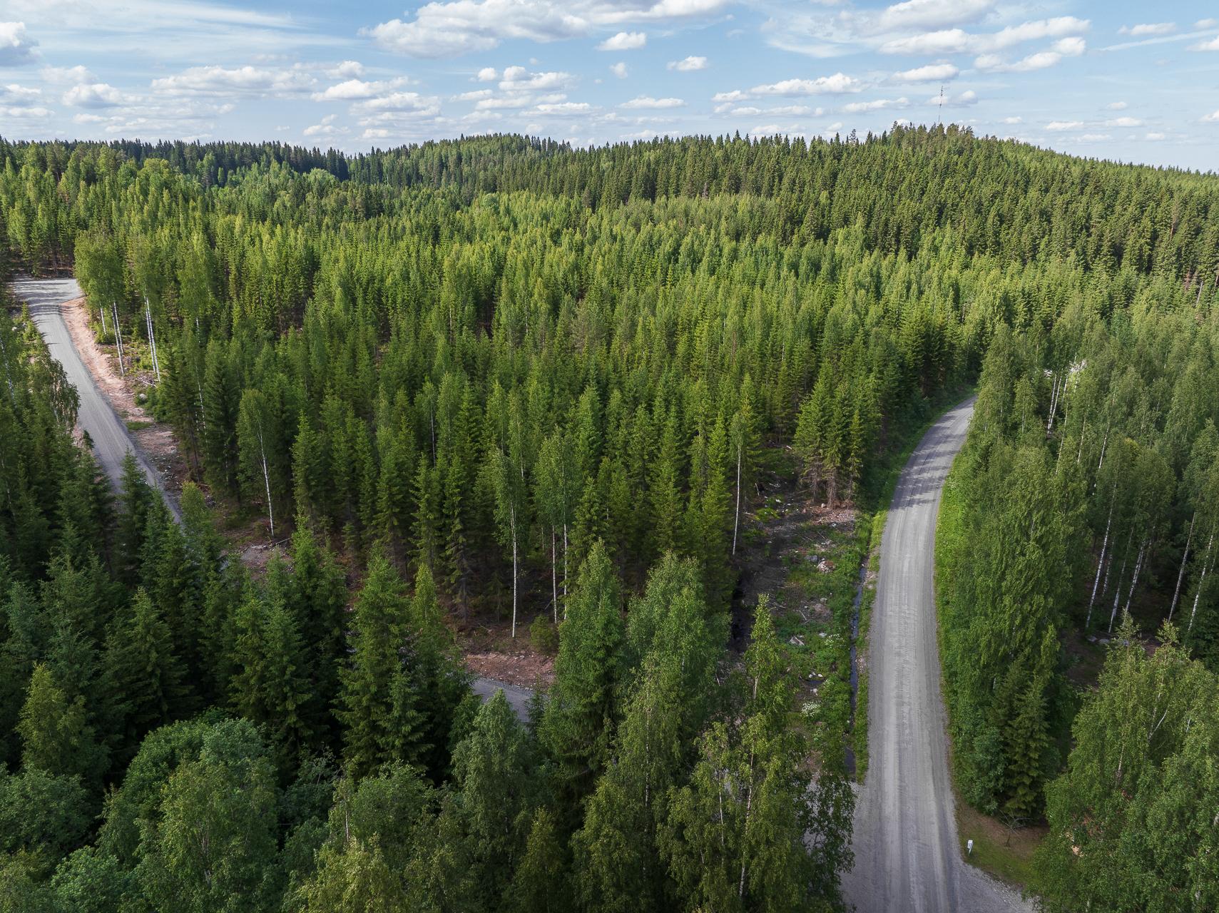 Kivelänlammentie 10 C, Vesanka, Jyväskylä