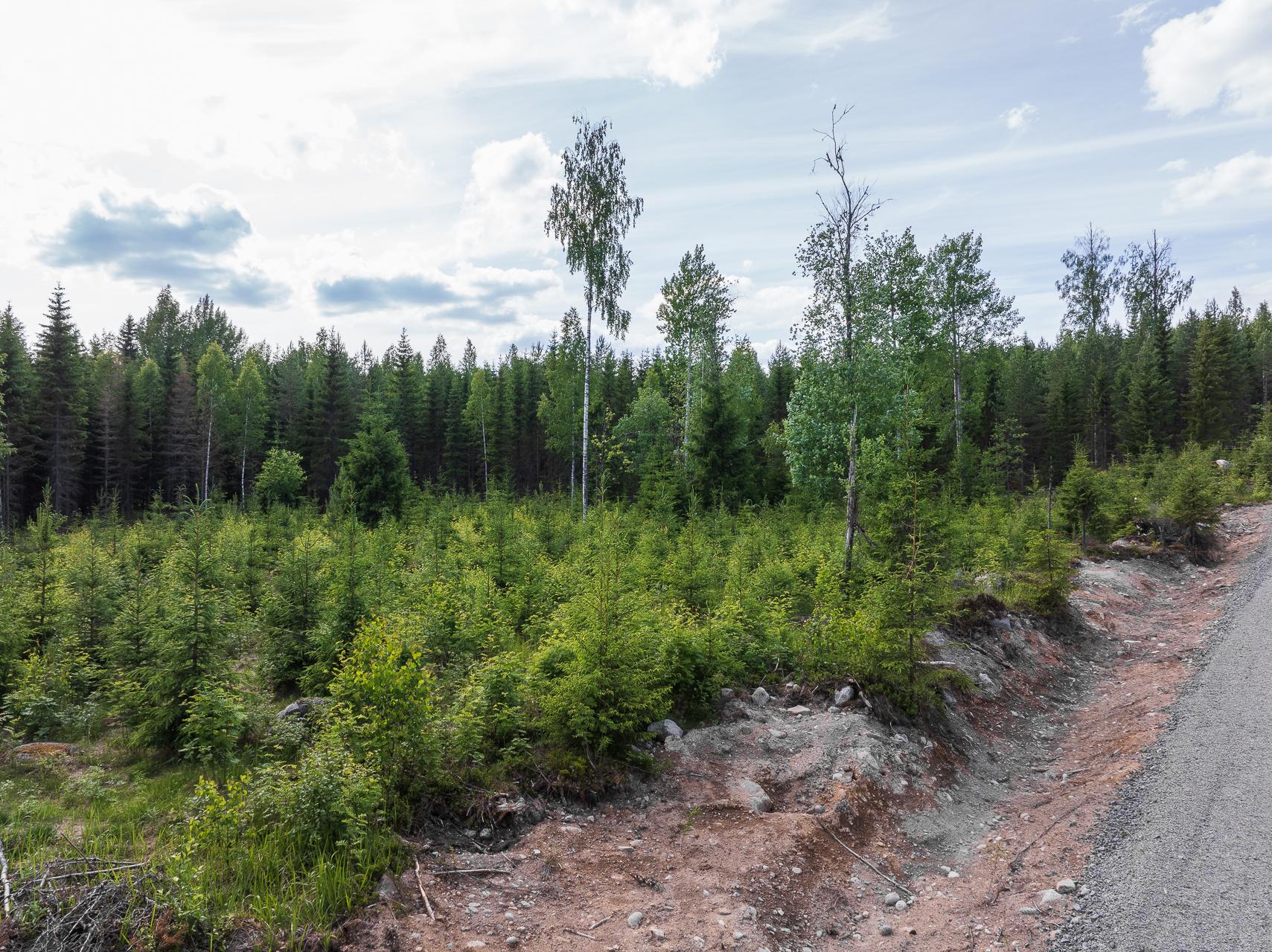 Kivelänlammentie 20, Vesanka, Jyväskylä