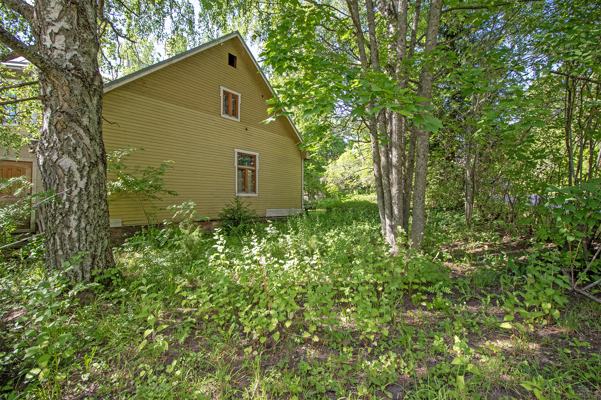 Vehreä pientaloalue