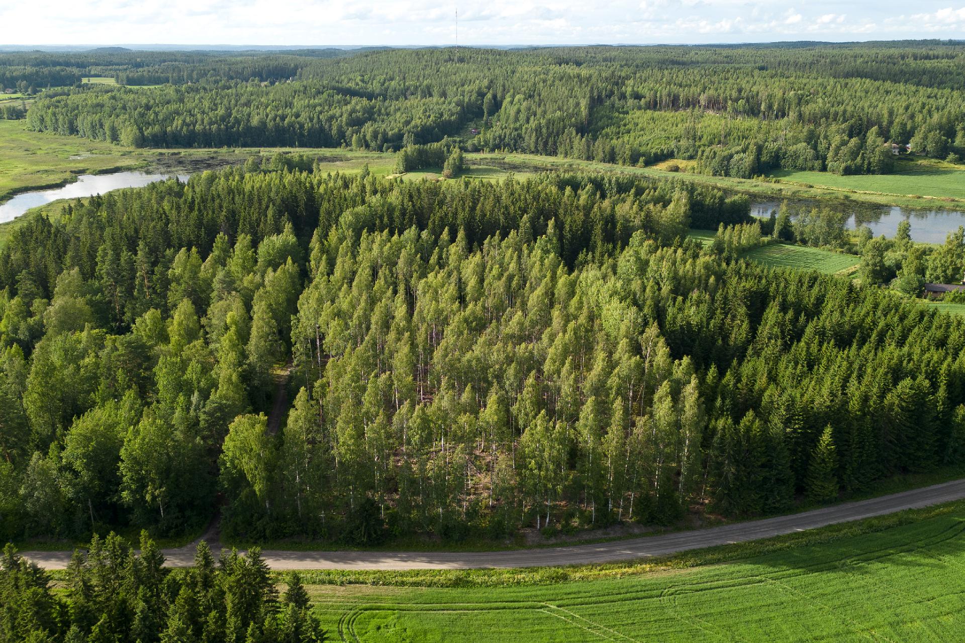 Nuutilanlahdentie 40, Velaatta, Tampere