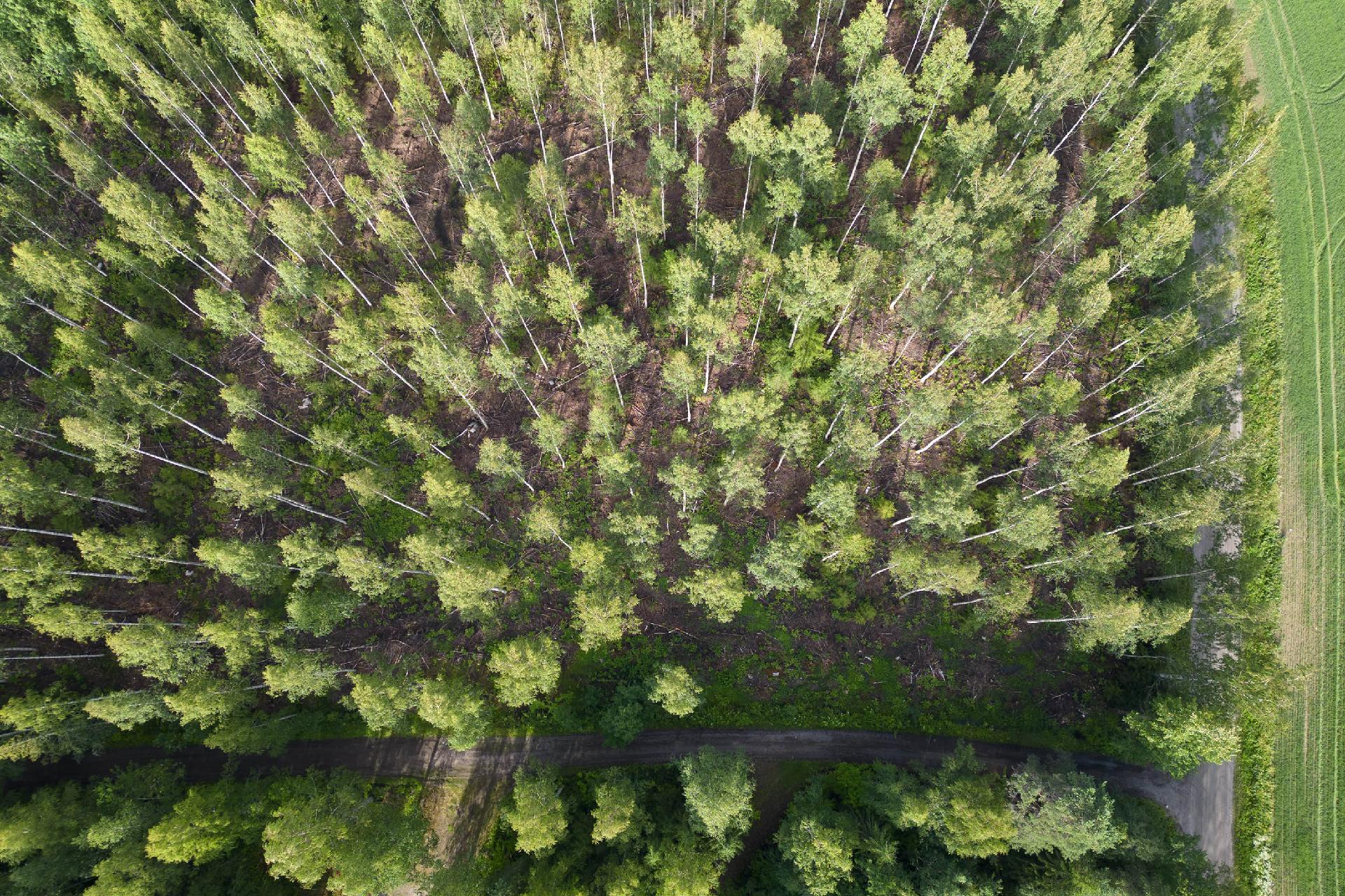 Nuutilanlahdentie 40, Velaatta, Tampere