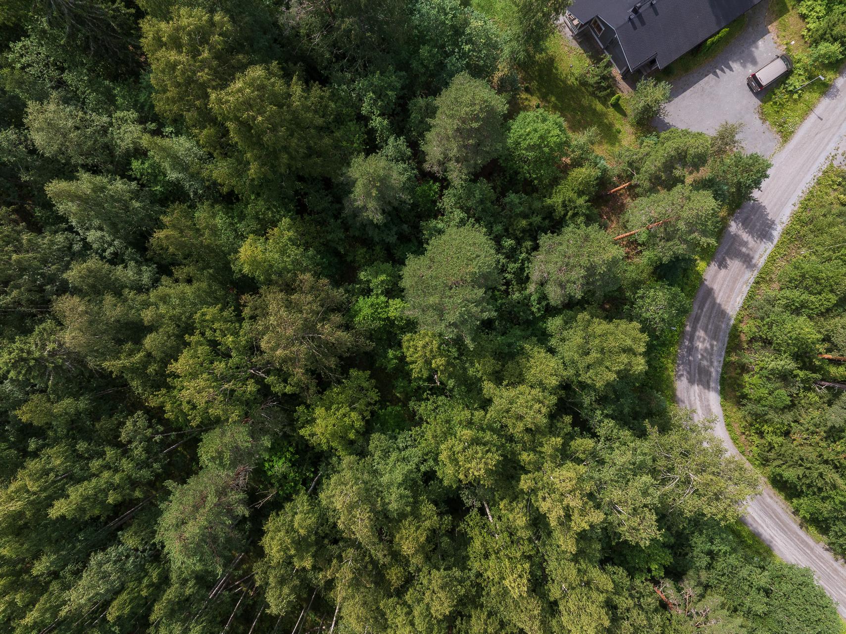 Himostaipaleentie 3, Himos, Jämsä