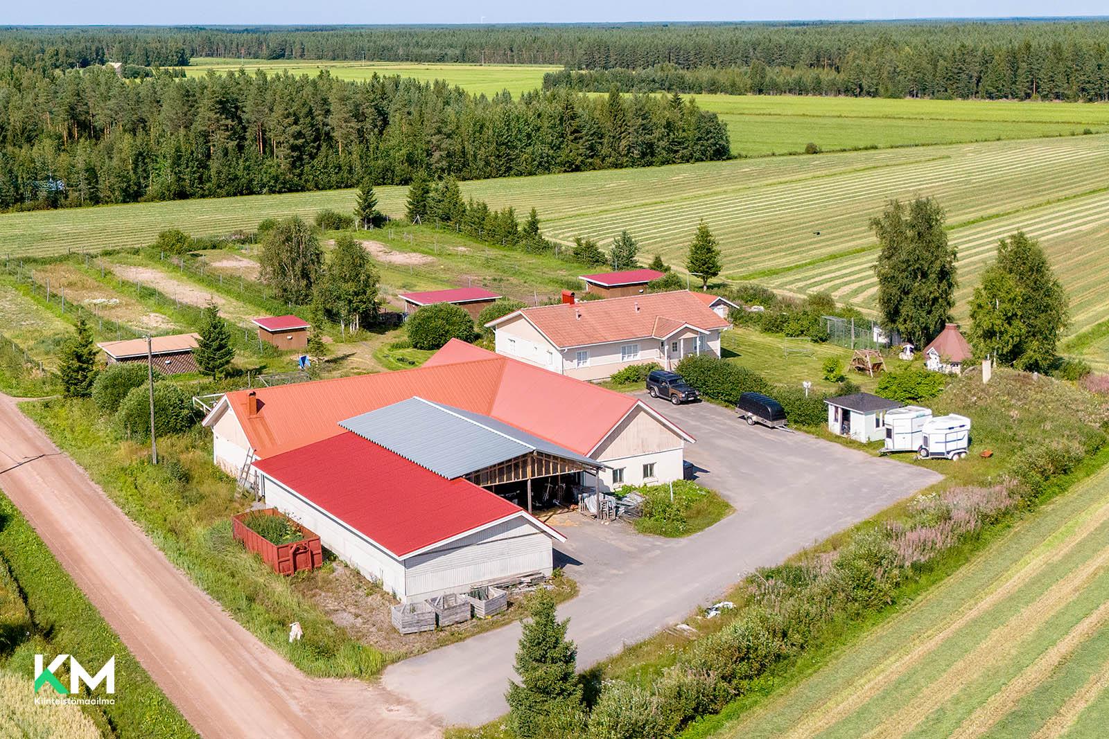 Ylipääntie 924, Lumijoki, Lumijoki