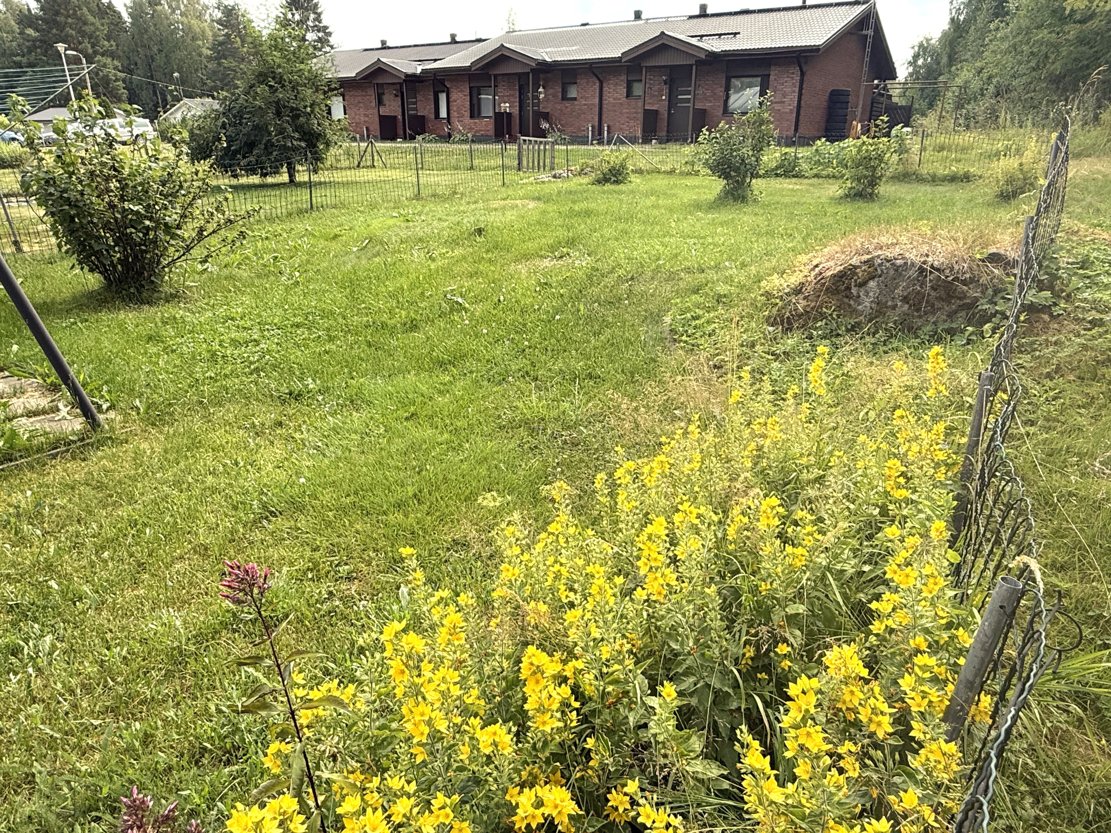 Kirjailijantie 11, Kuvansi, Joroinen