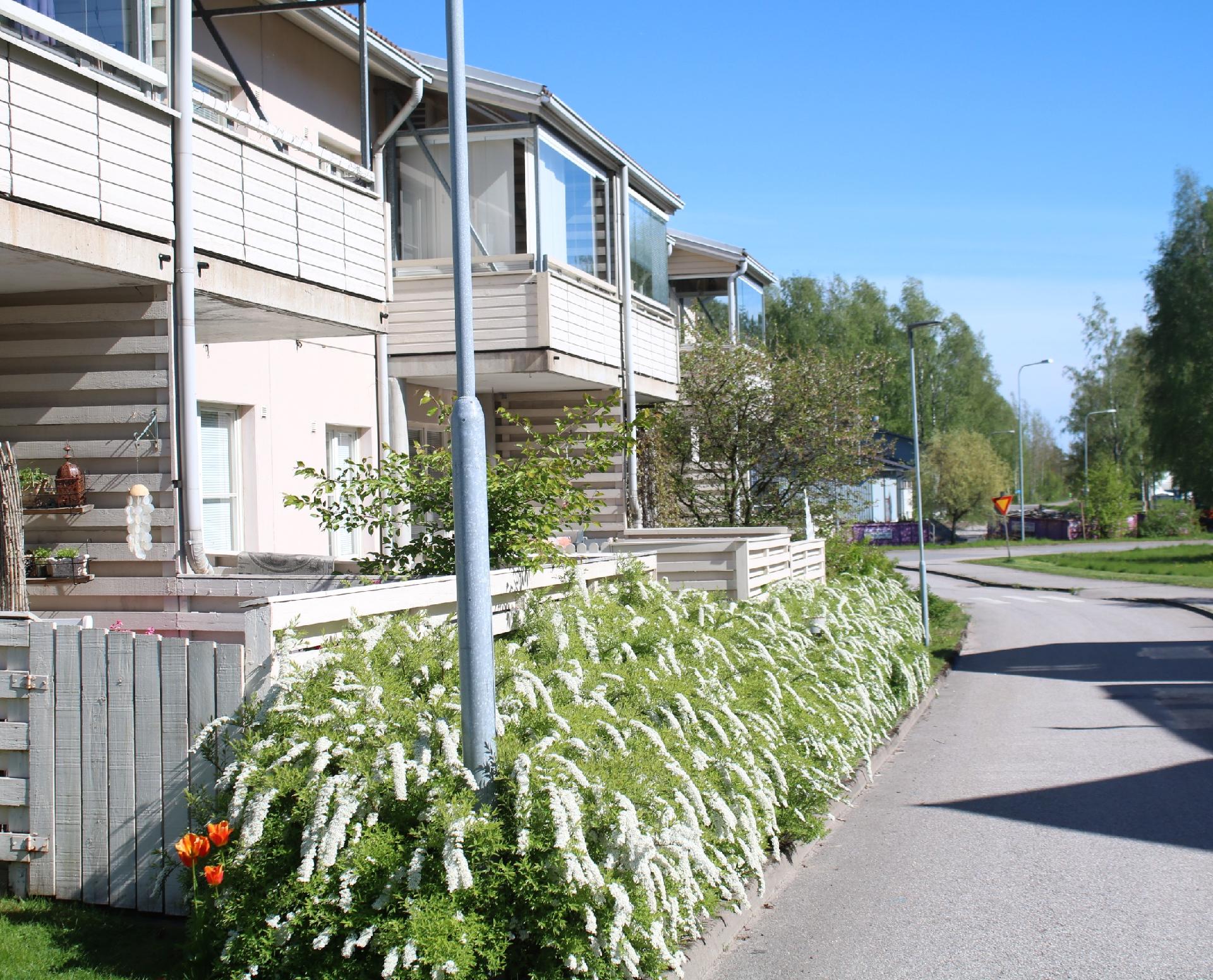 Talo jokirantaan päivä kesä