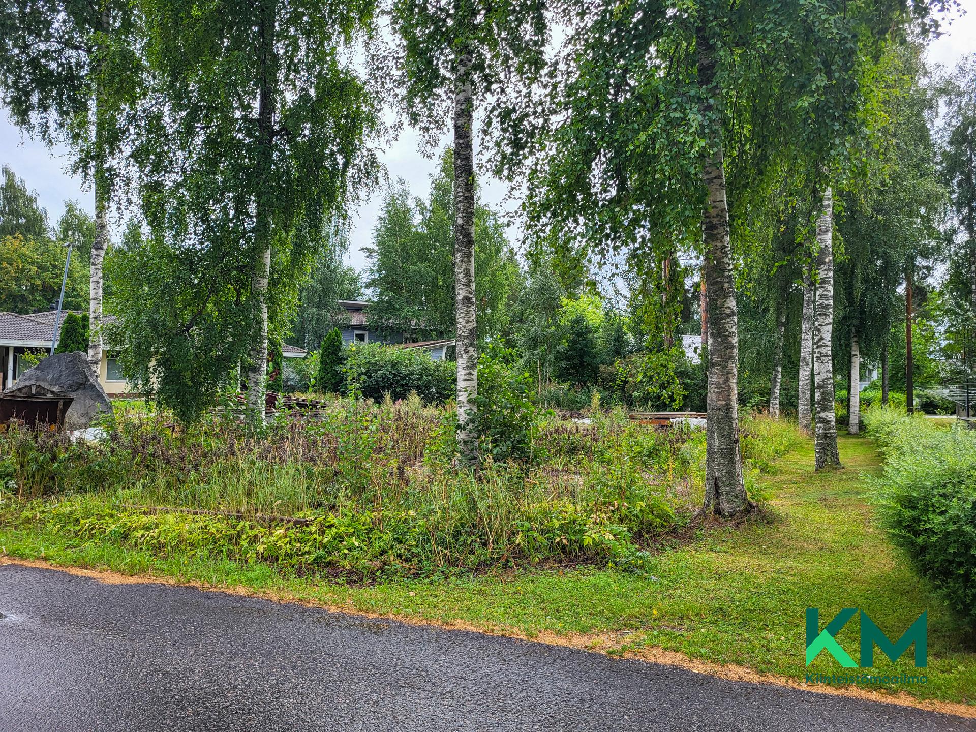 Hauenmiekka 2, Kuokkaniemi, Savonlinna